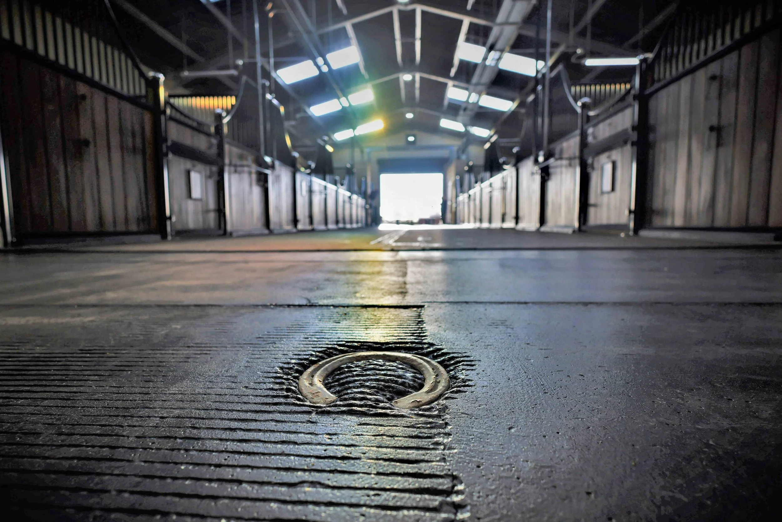 Indoor stable or barn with open door, sunlight streaming in, and a drain or utility cover on the floor.