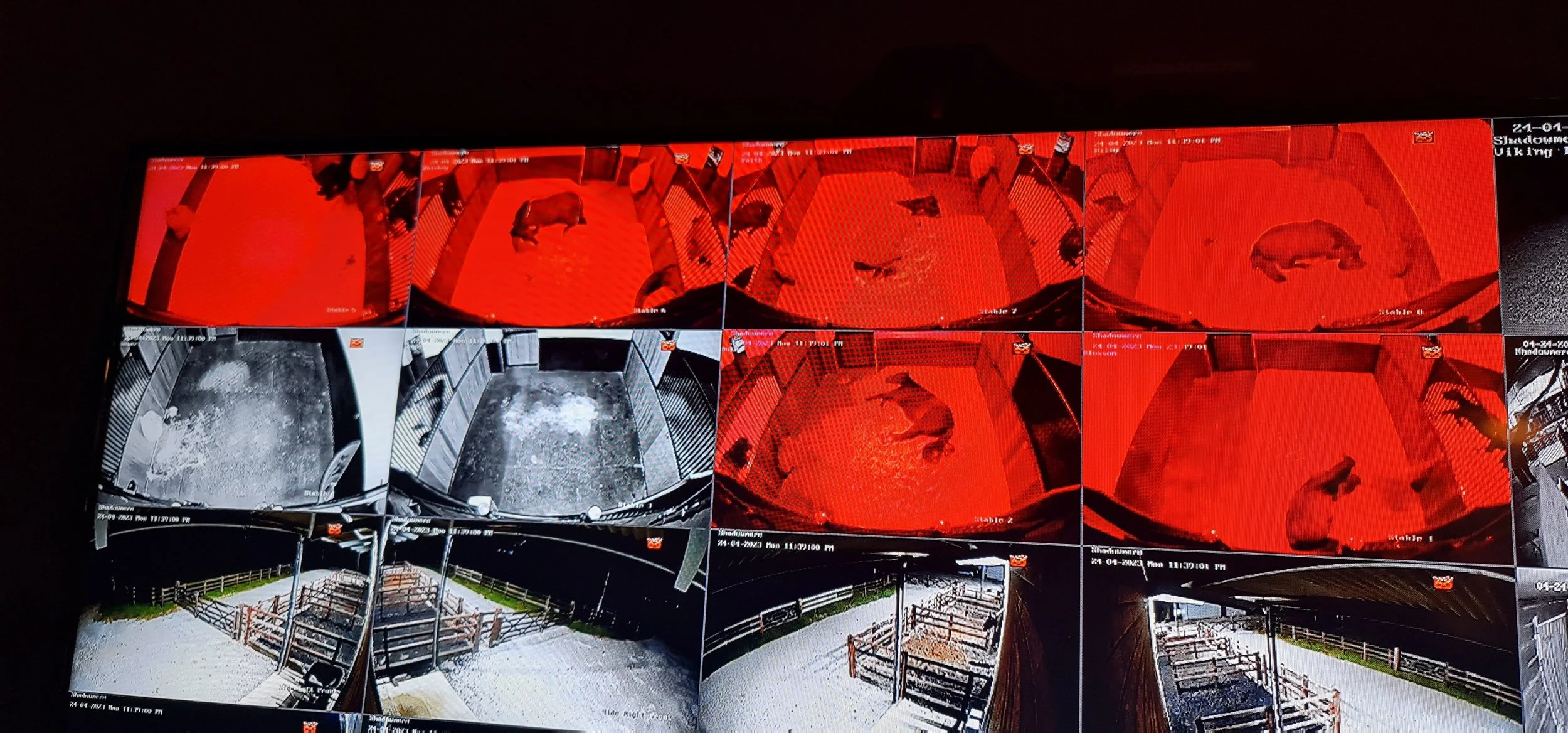 monarch-stables-red-light-equilight-retirement-uk-cctv-camera