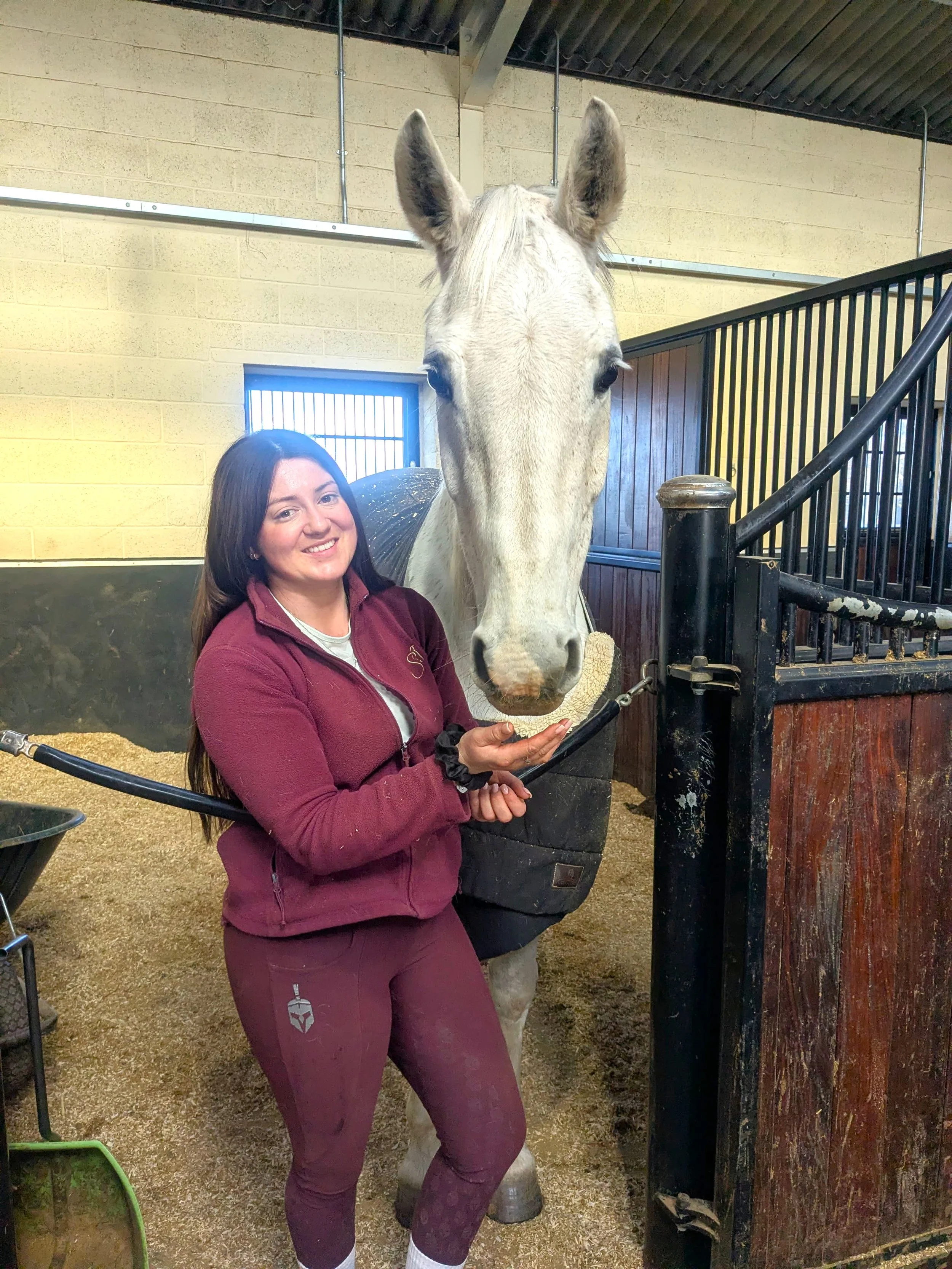 A woman in maroon scrubs smiling and holding her hand out close to the nose of a white horse inside a stable with yellow brick walls and black metal railings.