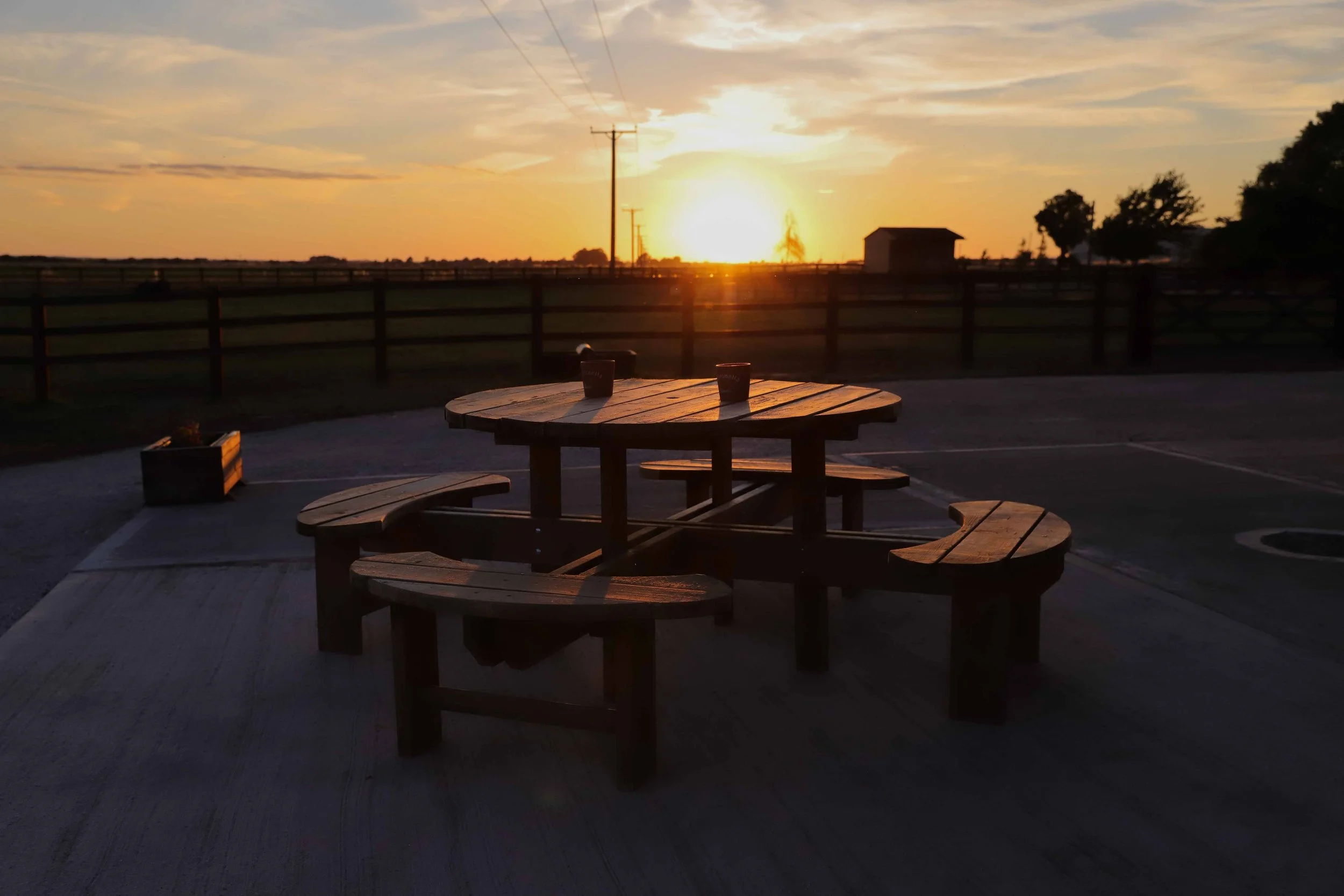 A wooden picnic table with attached benches and two cups on top, set in an outdoor area during sunset with a fence, some trees, and utility poles in the background.