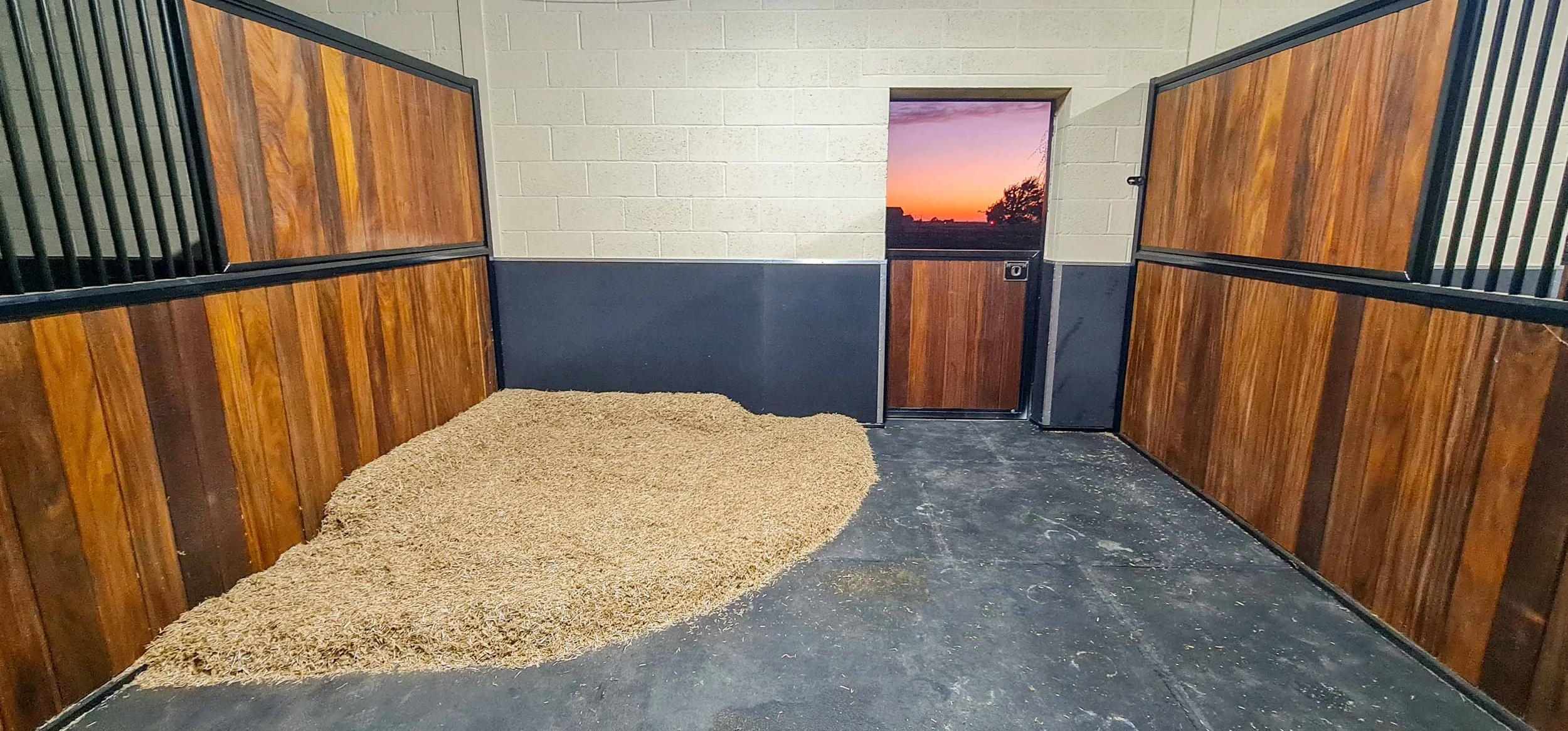 monarch-stables-luxury-horse-retirement-uk