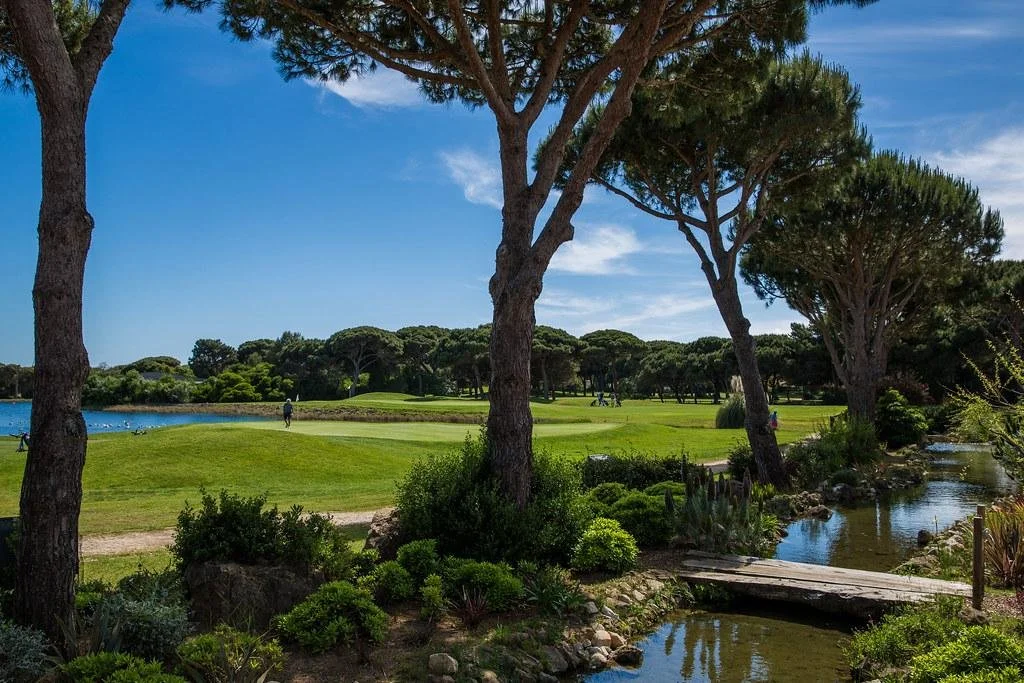Golfcourse3.jpg