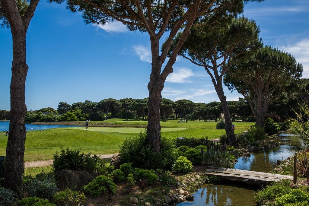 Golfcourse3.jpg