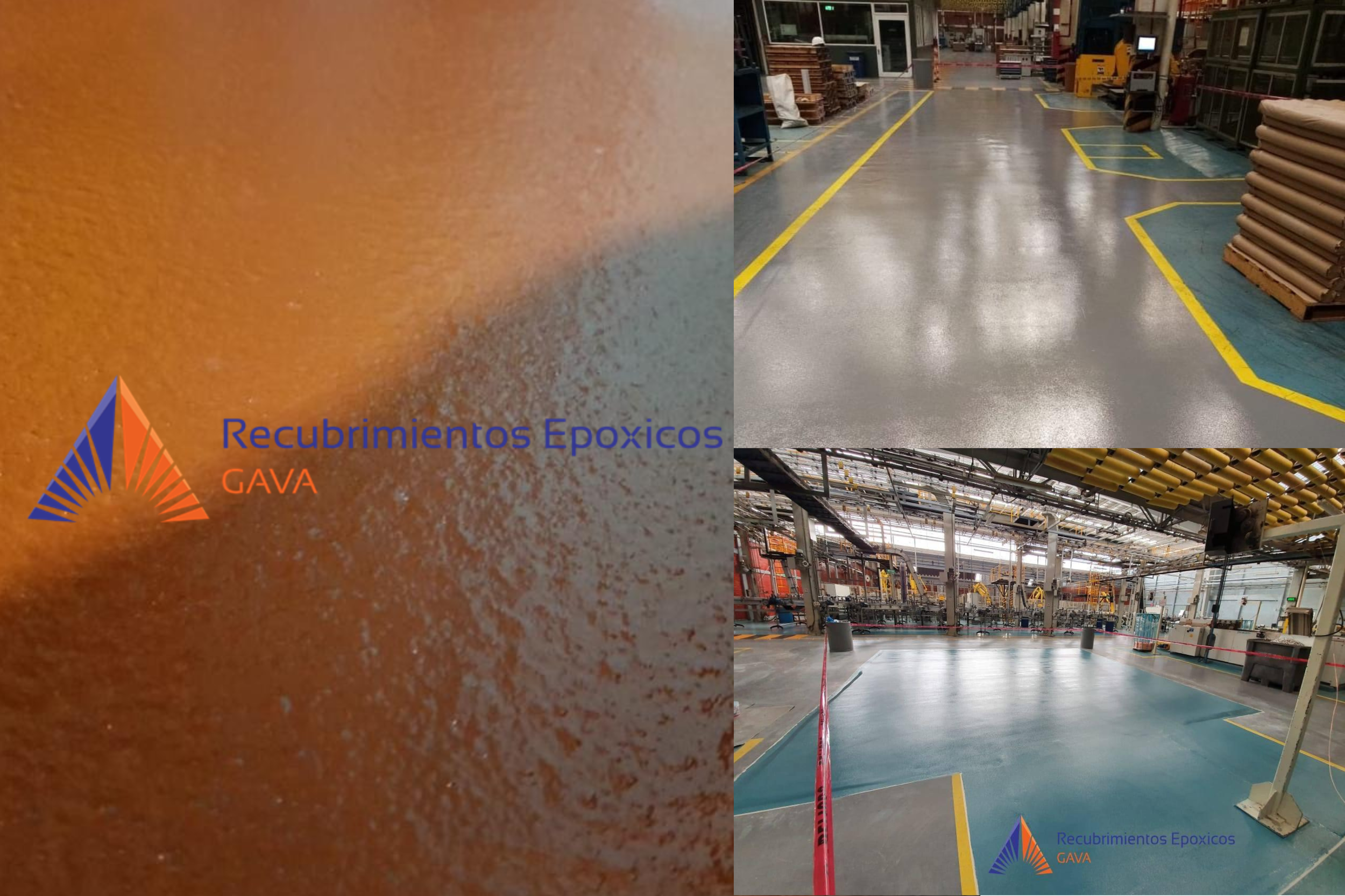 cascara de naranja (12).png