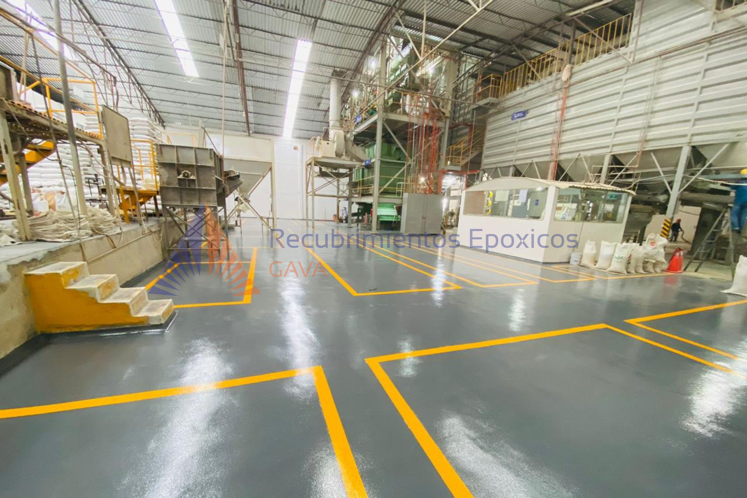 cascara de naranja (13).png