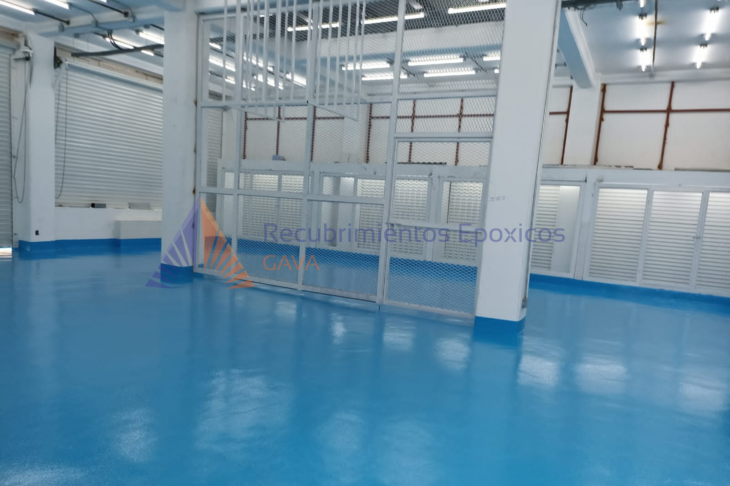 cascara de naranja (9).png