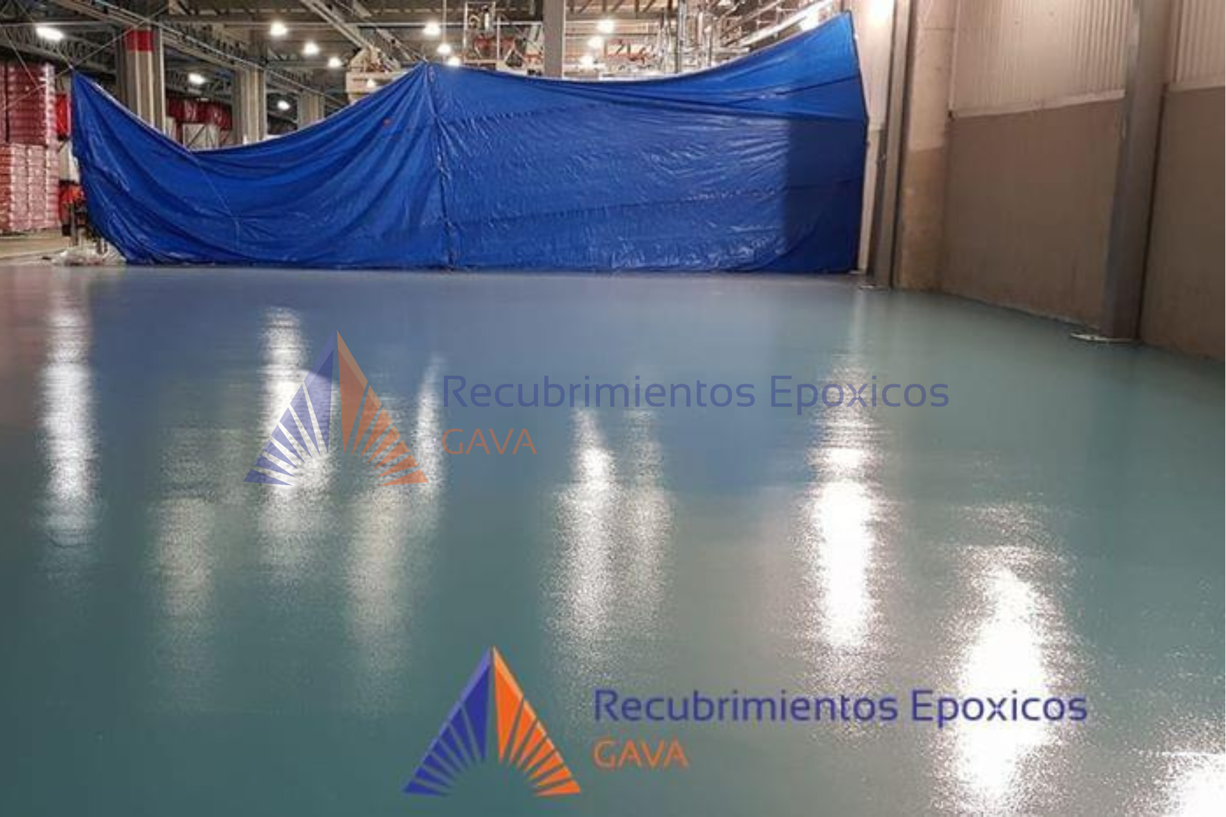 cascara de naranja (11).png