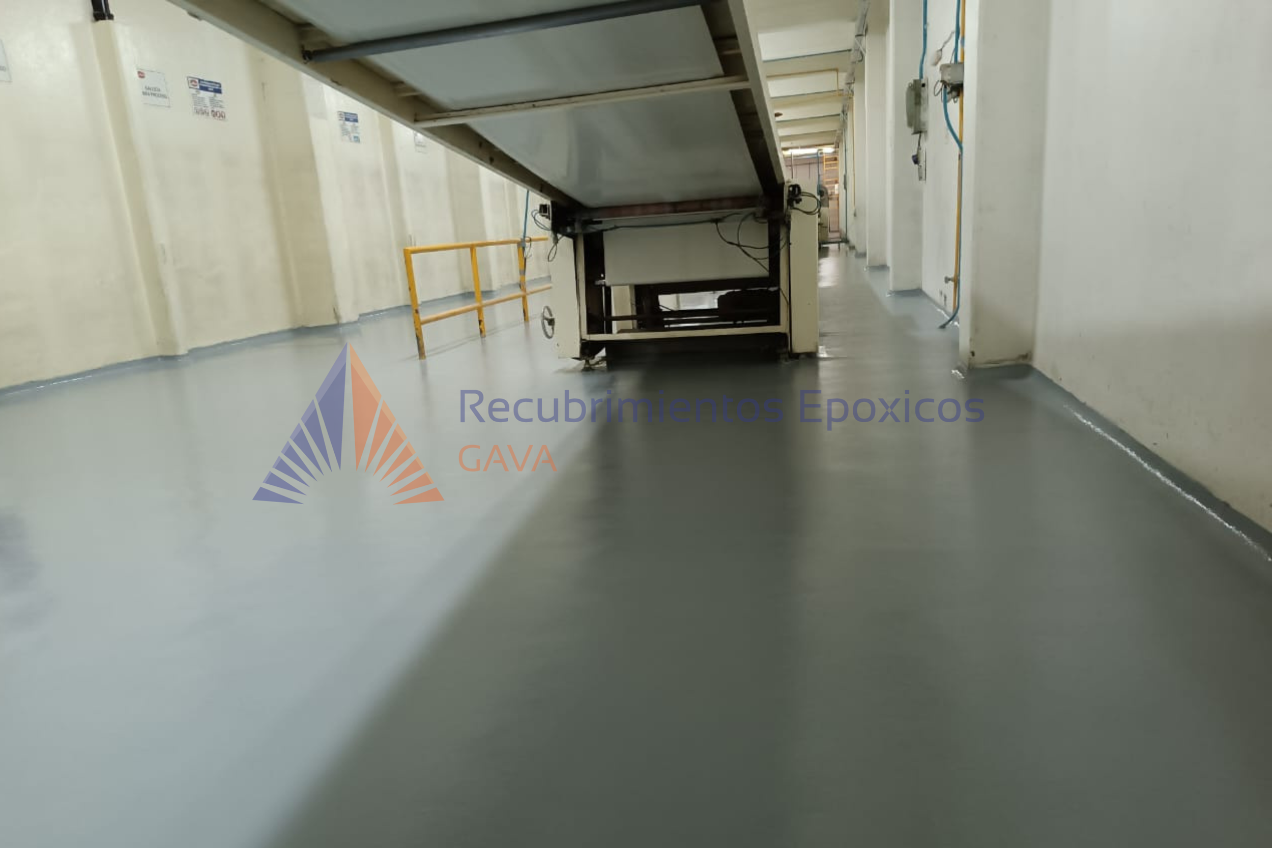 cascara de naranja (10).png