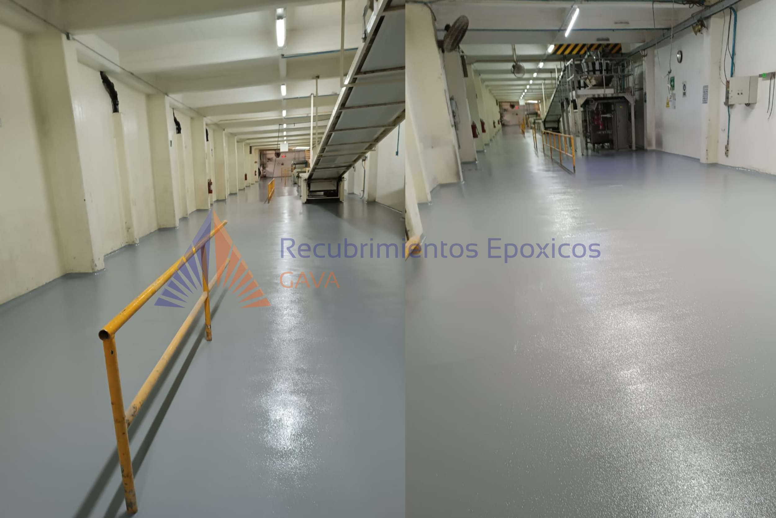 cascara de naranja (7).png