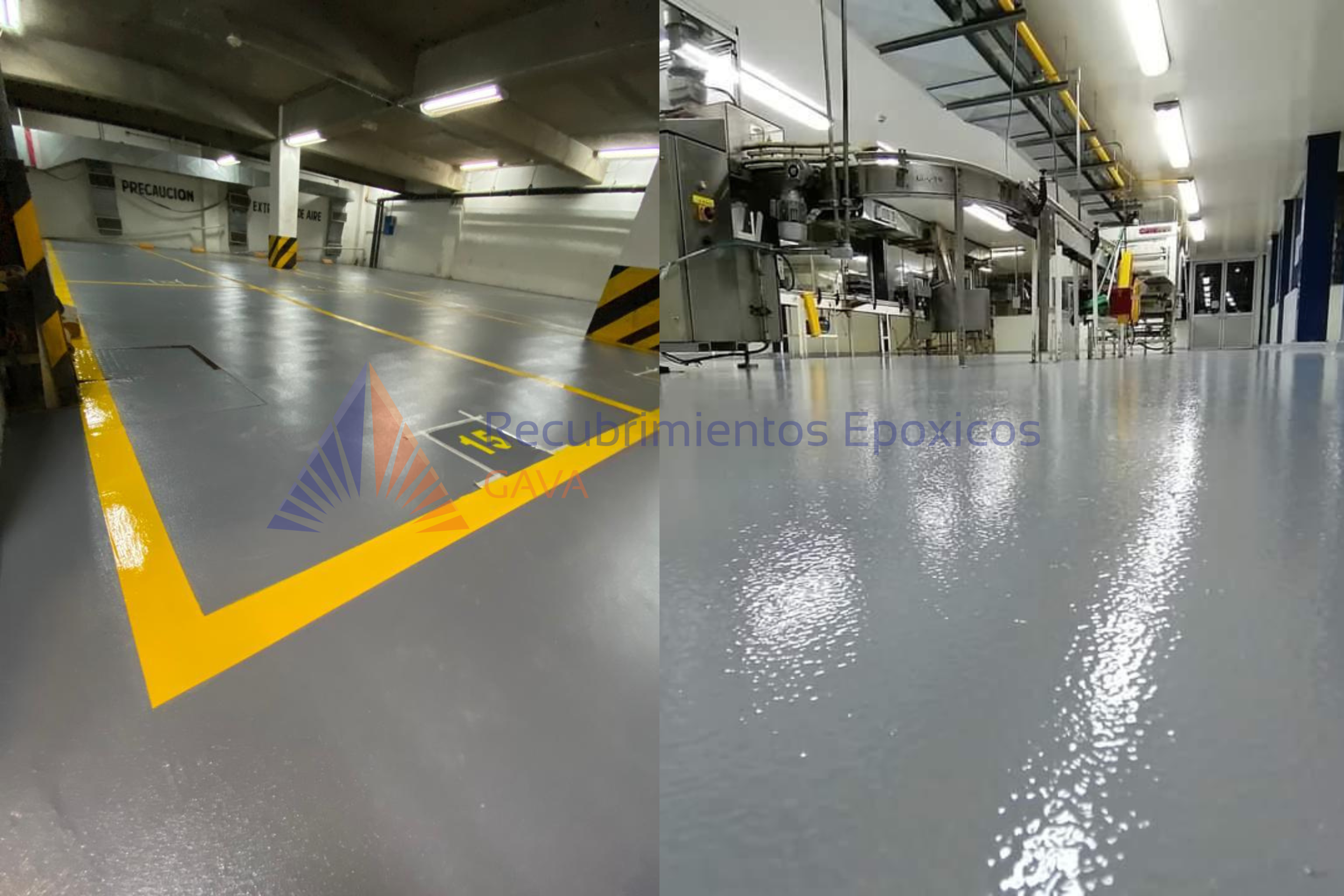 cascara de naranja (15).png