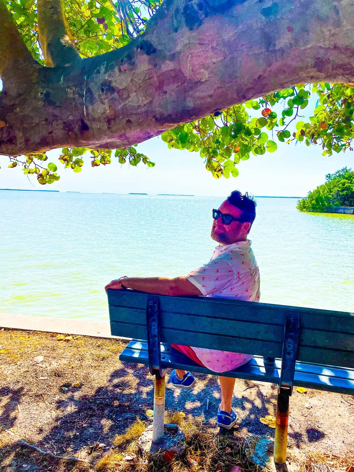 Gators, Crocs, and Bahama Mamas, Oh My! 

Hi from our bench 👋🏼 Each time we visit @evergladesnps, we spend sunsets here, overlooking Florida Bay in the Flamingo area at the southernmost tip of the Florida peninsula. It&rsquo;s a serene place, where