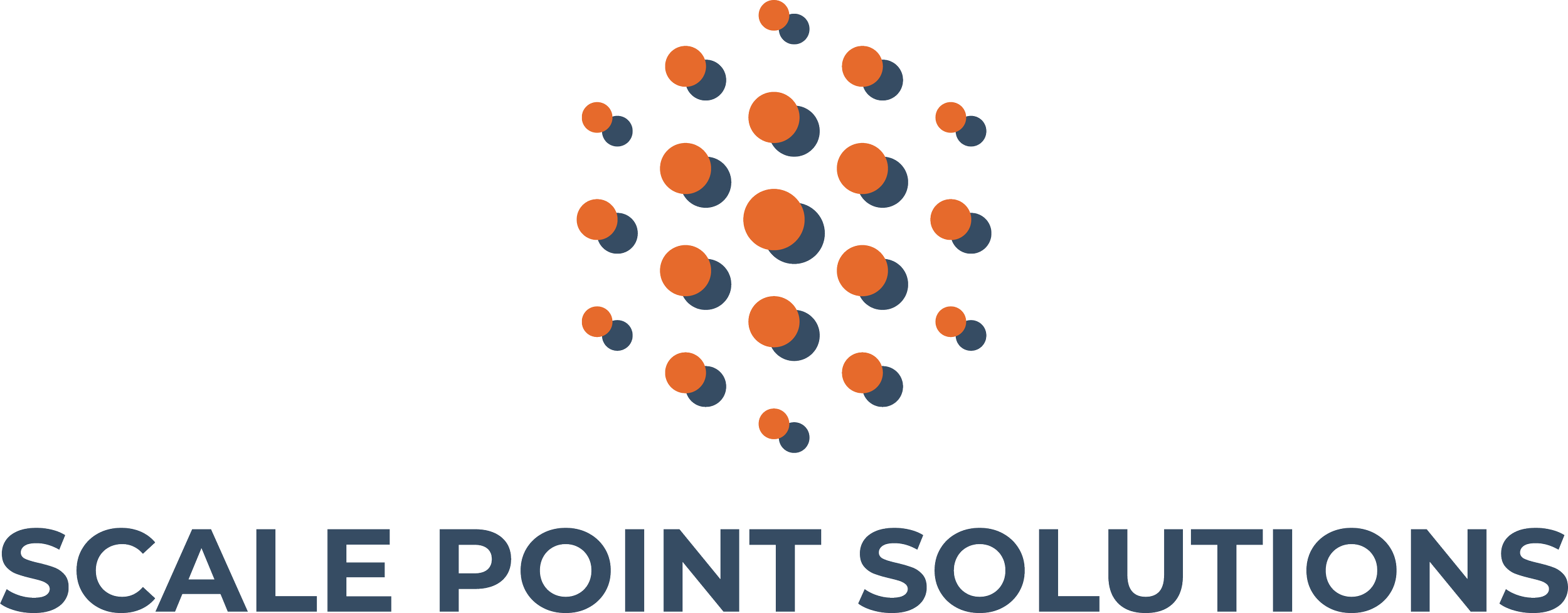 Scale Point Solutions