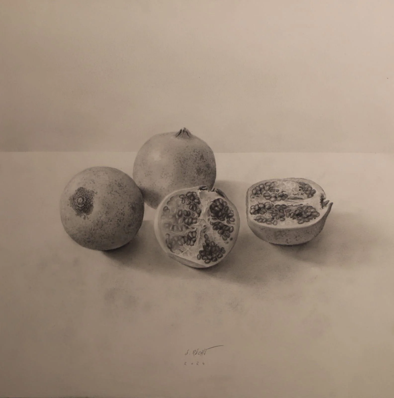 EN VENTA - Granadas, Dibujo sobre papel, 50x50cm