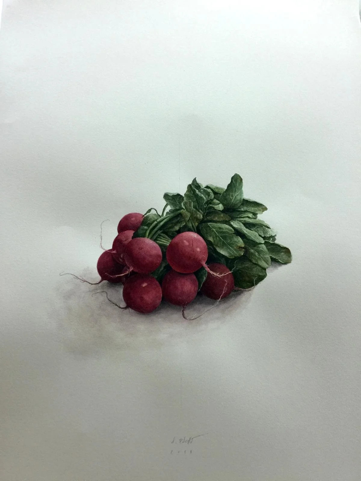 EN VENTA - Rábanos, Acuarela sobre papel, 56x76cm