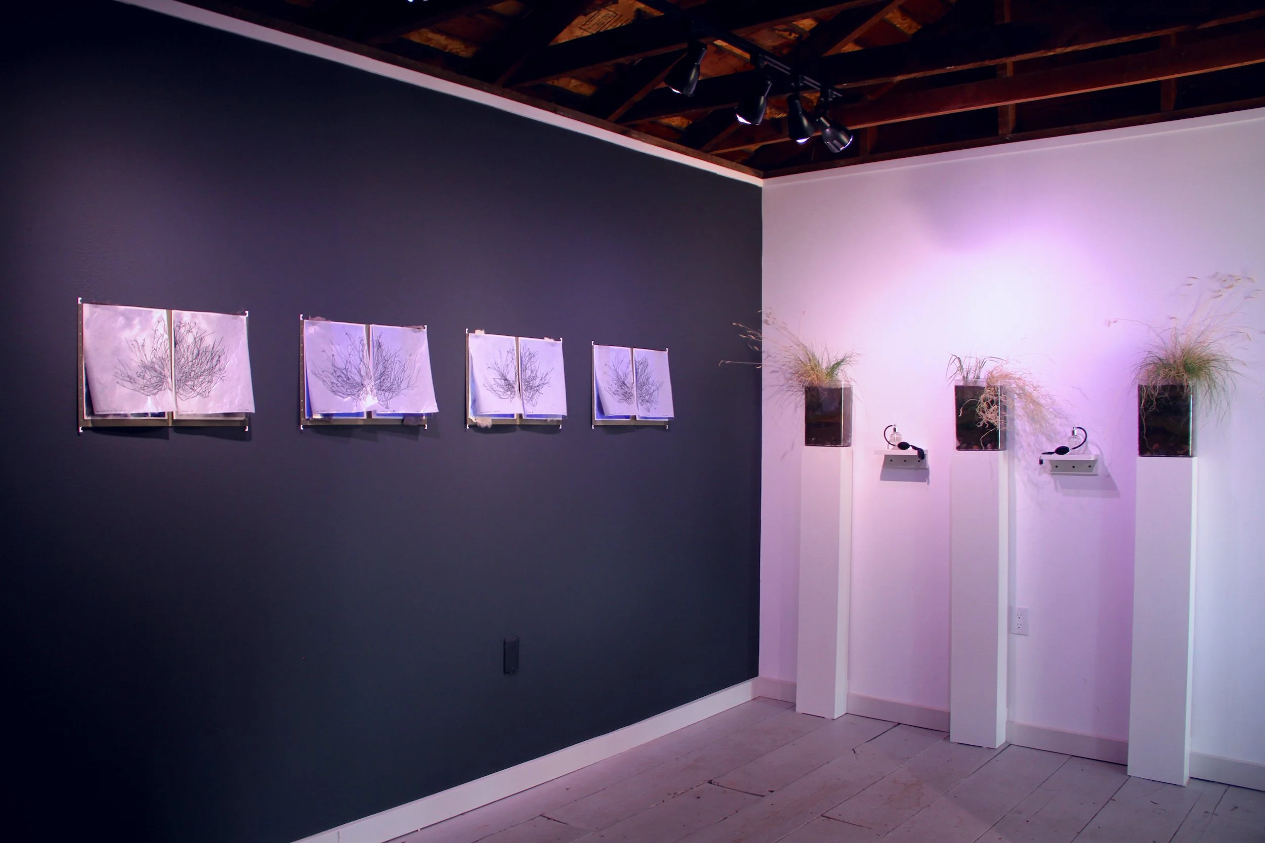 a quiet but not empty place_web_5.jpg