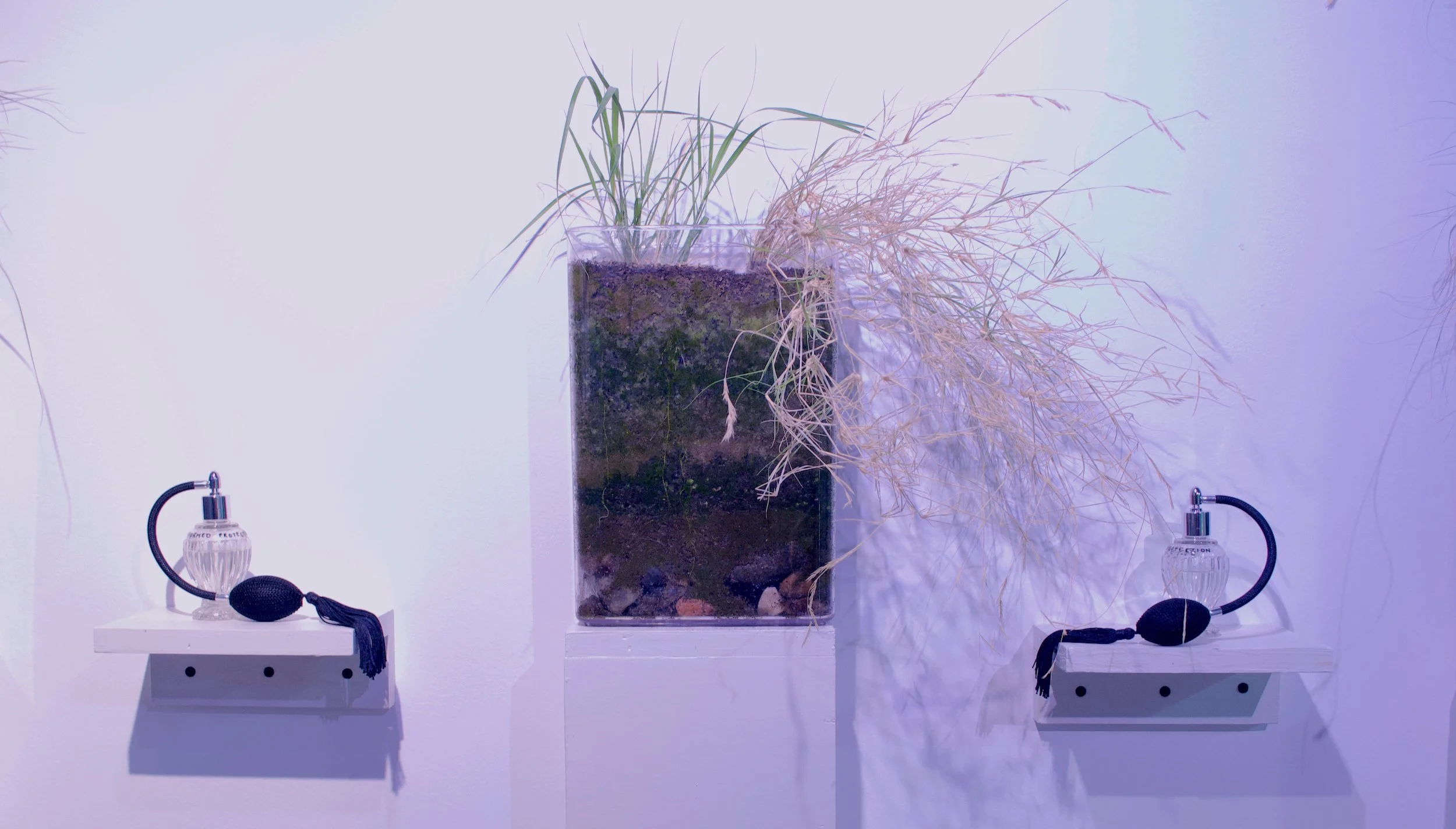 a quiet but not empty place_web_6.jpg