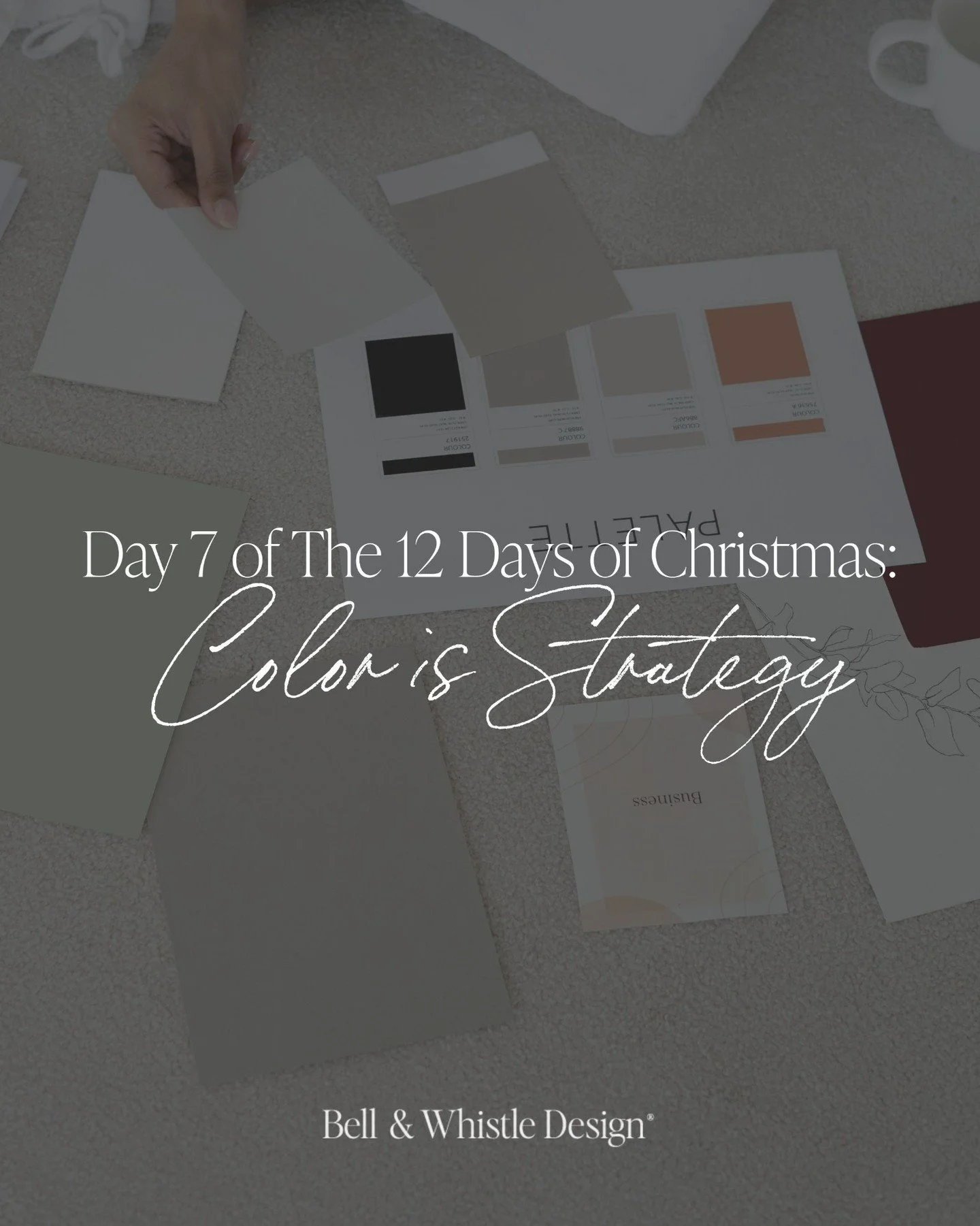Day 7 of The 12 Days of Christmas: Color Is Strategy

Before someone ever reads your homepage, your brand colors are already telling a story. They set the emotional tone in seconds. That&rsquo;s the power of color theory.

🌿 Earth tones = grounded +