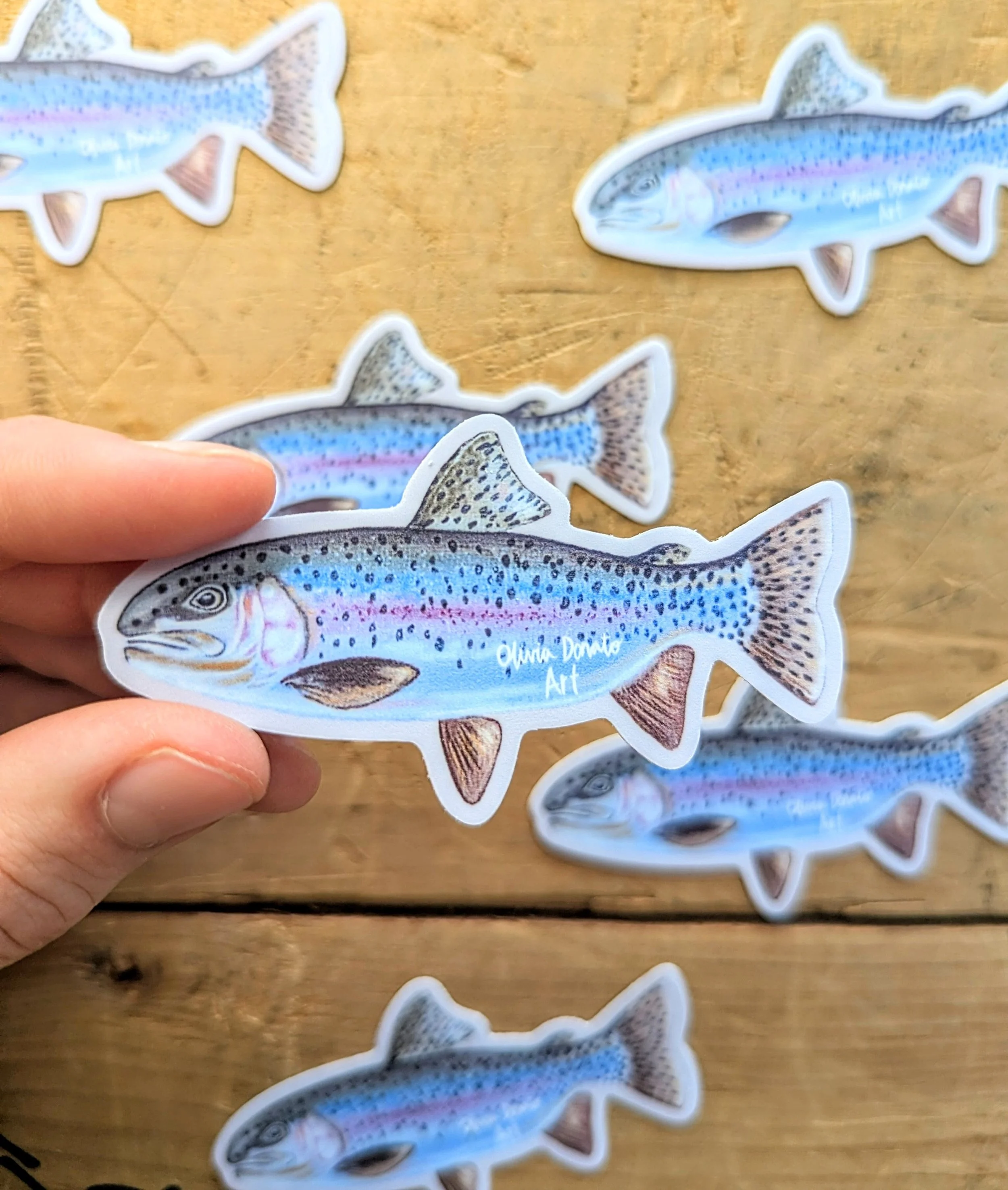 Rainbow Trout Sticker