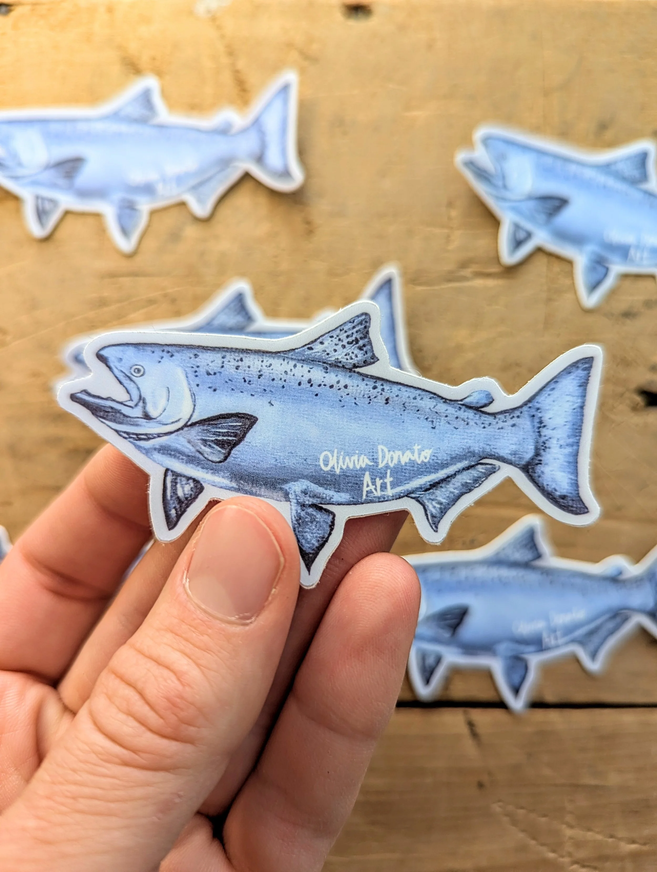 Chinook Salmon Sticker