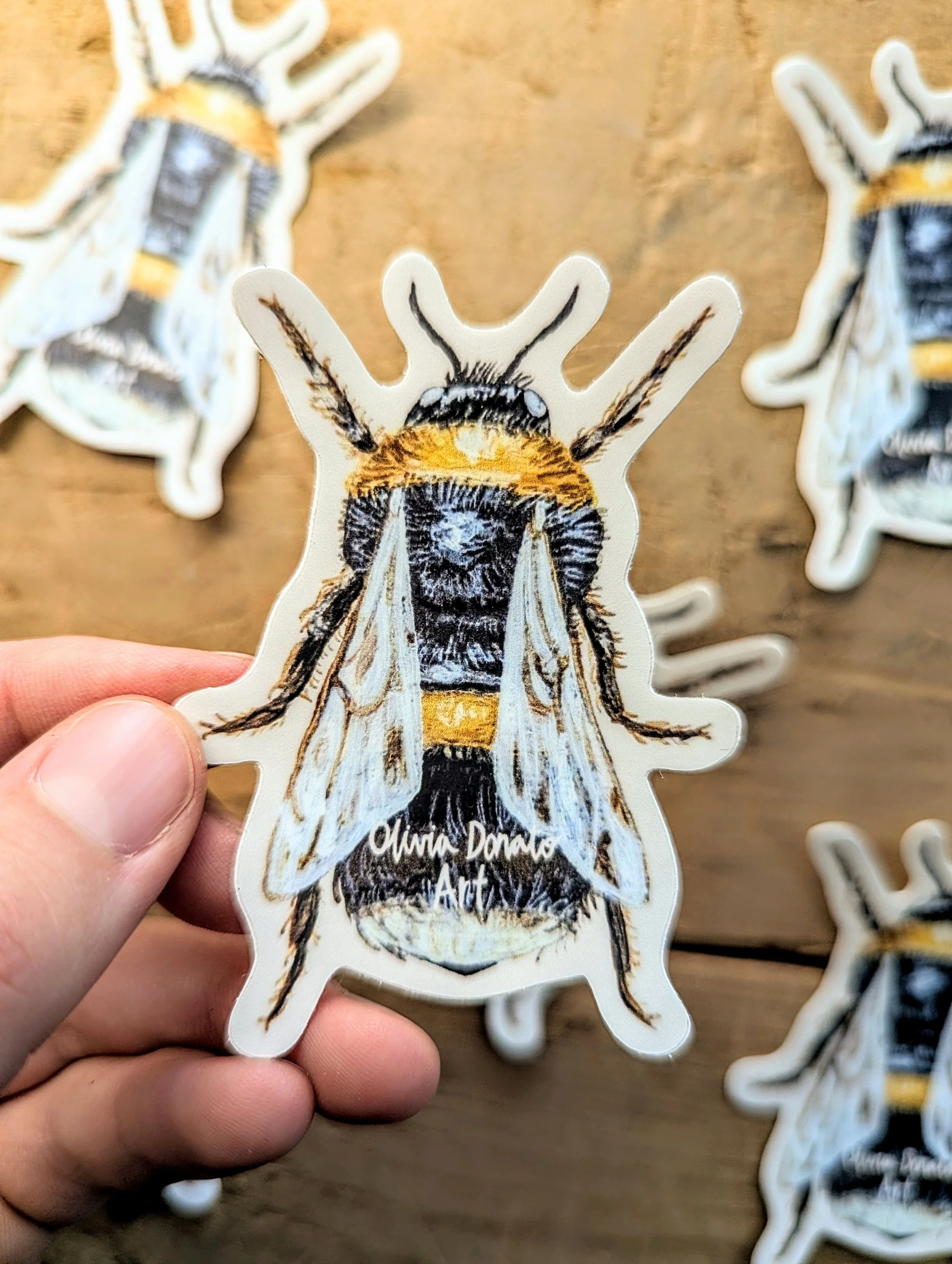 Bumble Bee Sticker