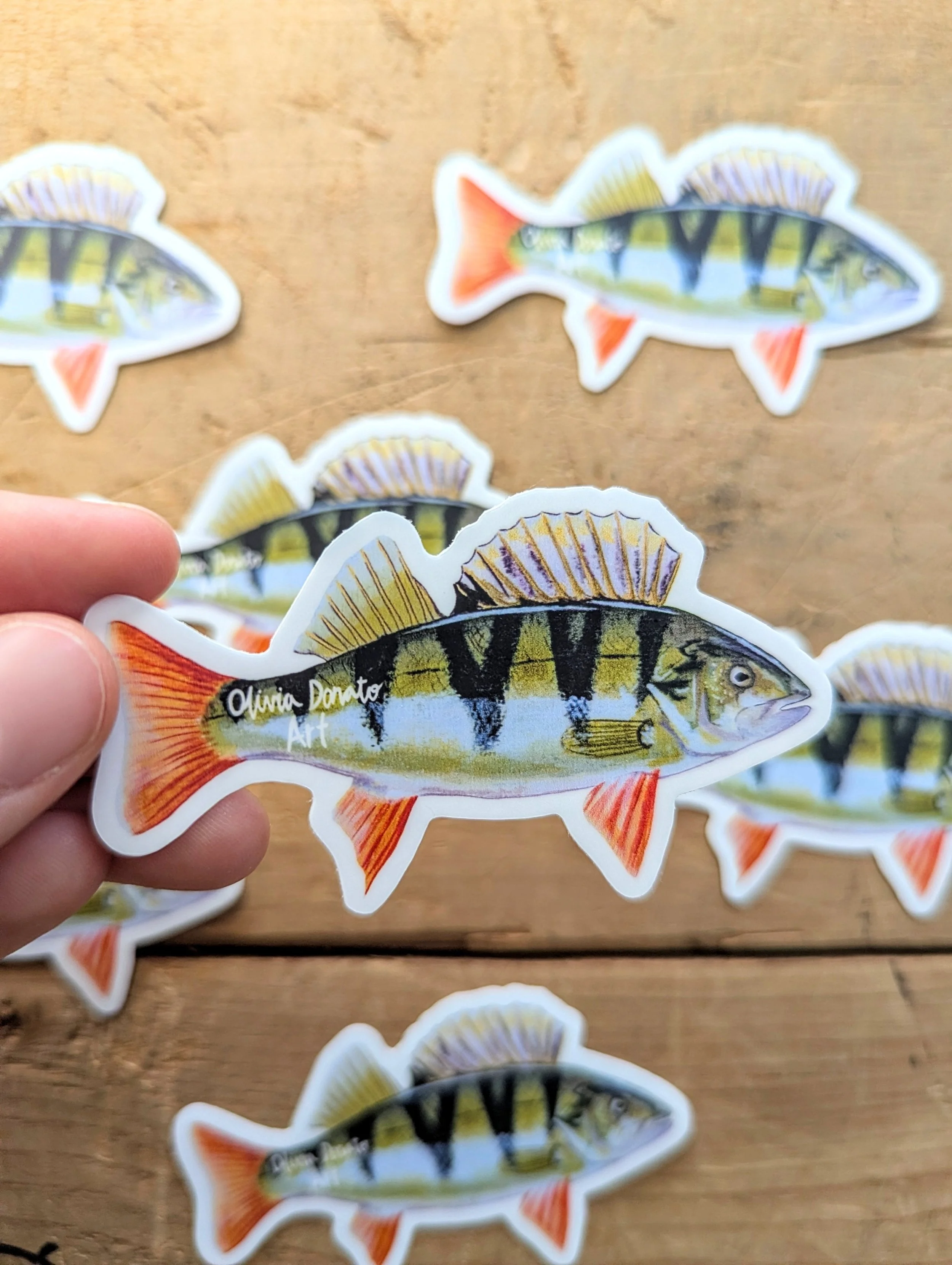 Yellow Perch Sticker