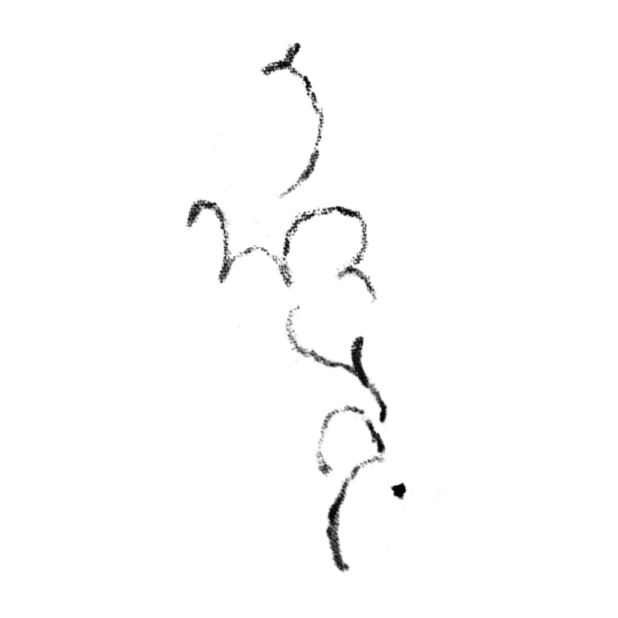 #15 · Romeo Blau · 180€