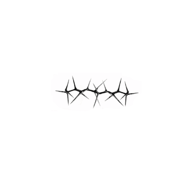 #6 · Sofia · 70€ (reserved)