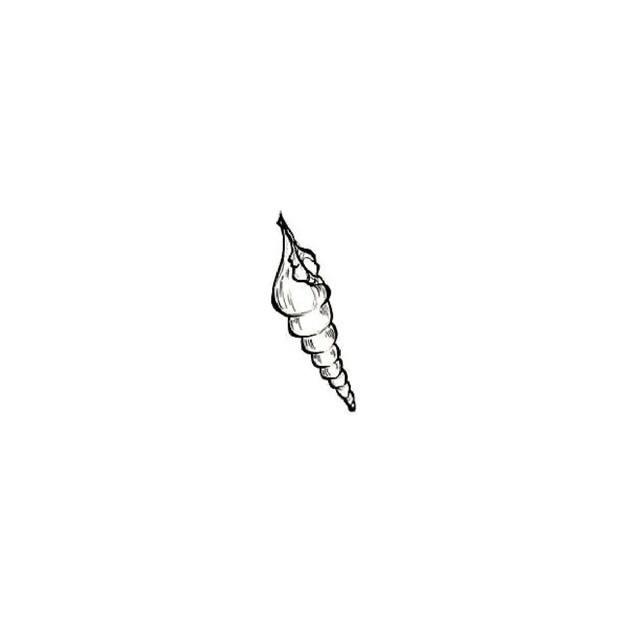 #49 · Jessy · 60€