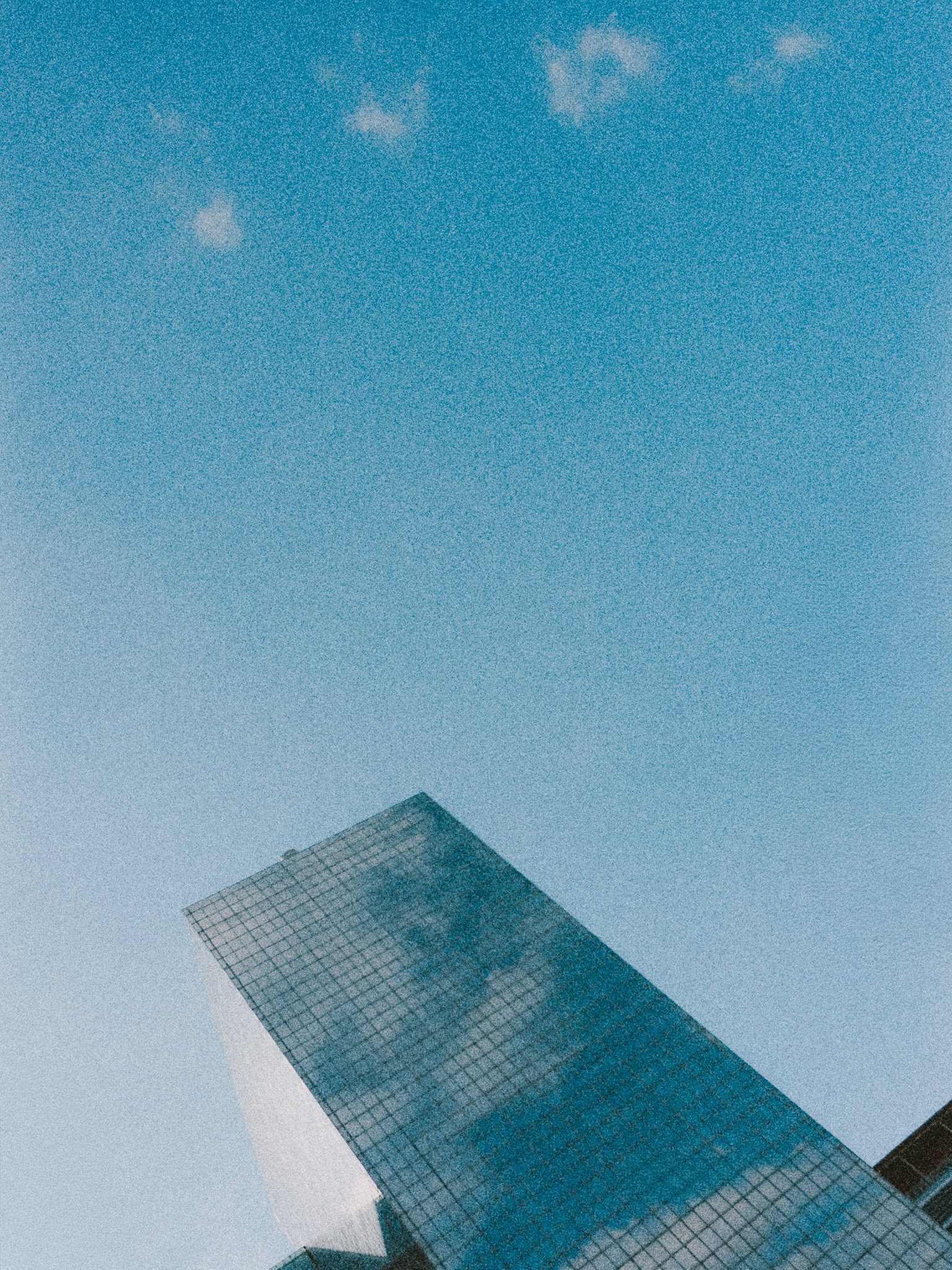 DSCF0049.jpg
