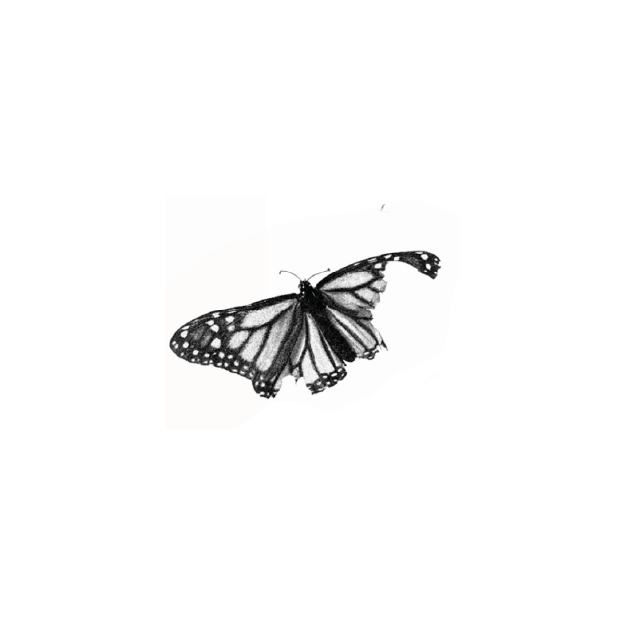 #9 · Sofia · 70€