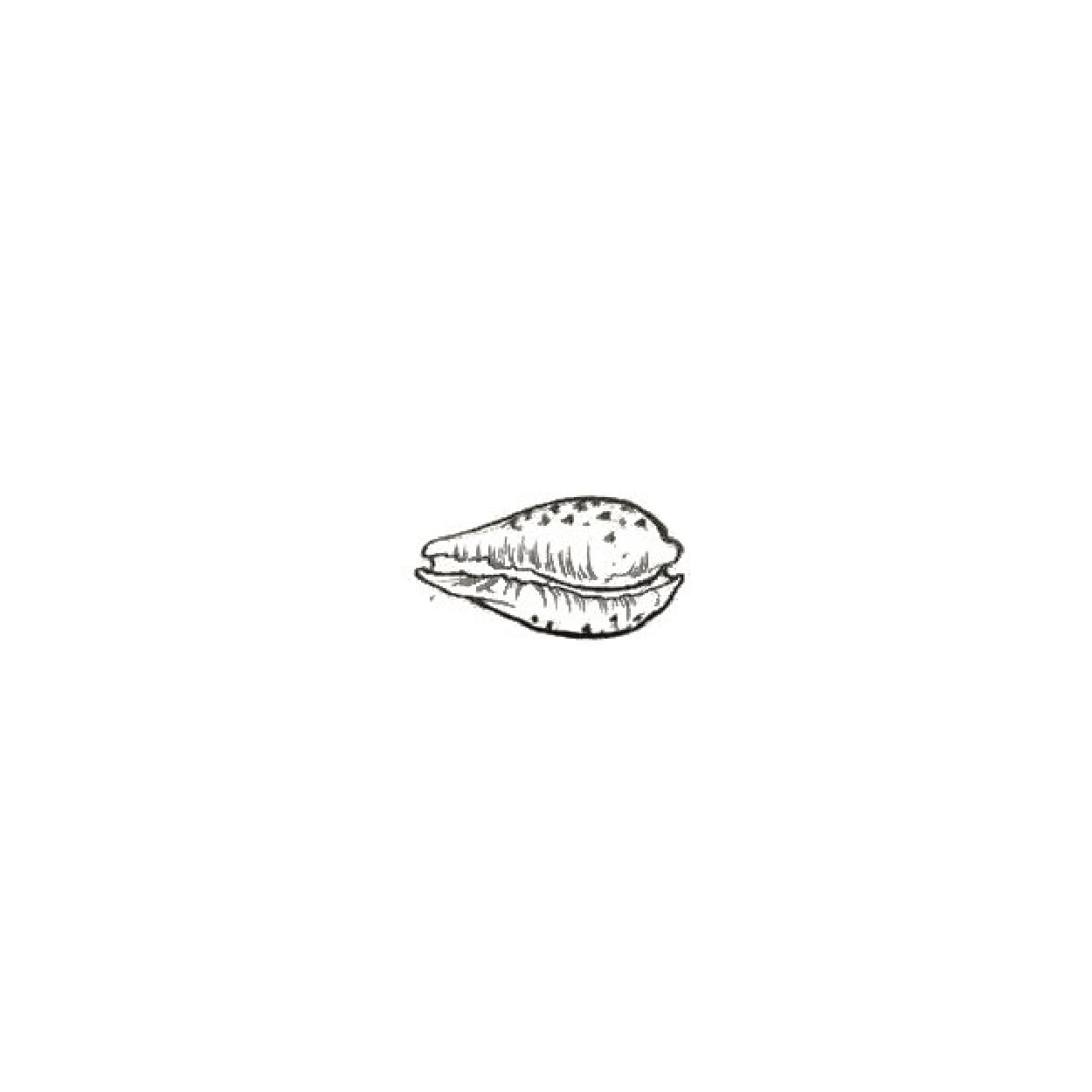 #46 · Jessy · 60€