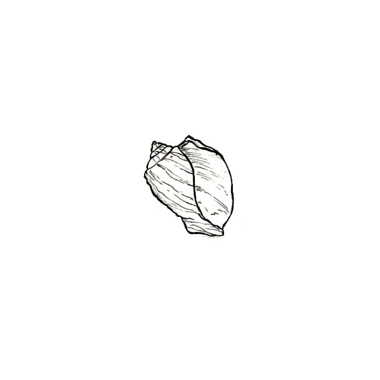 #42 · Jessy · 60€
