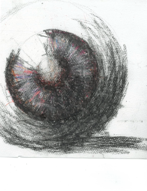 SThe+Center26062214370+%283%29.png
