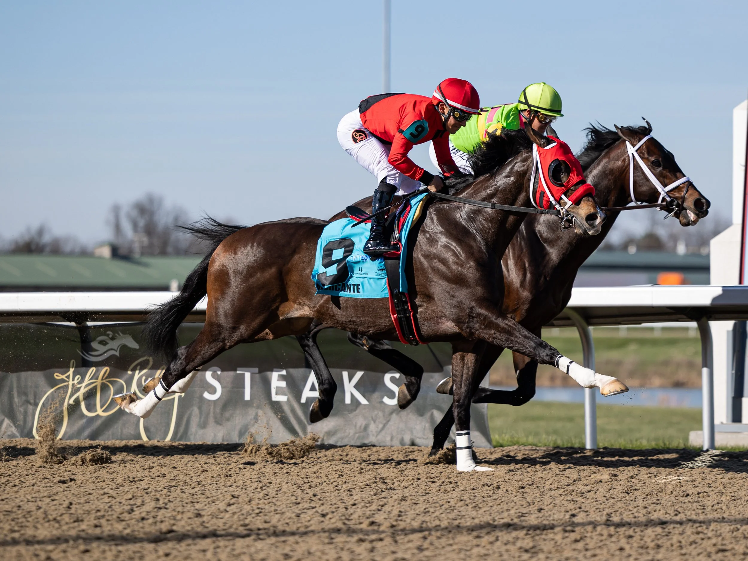 Mercante - First Pass 01.jpg