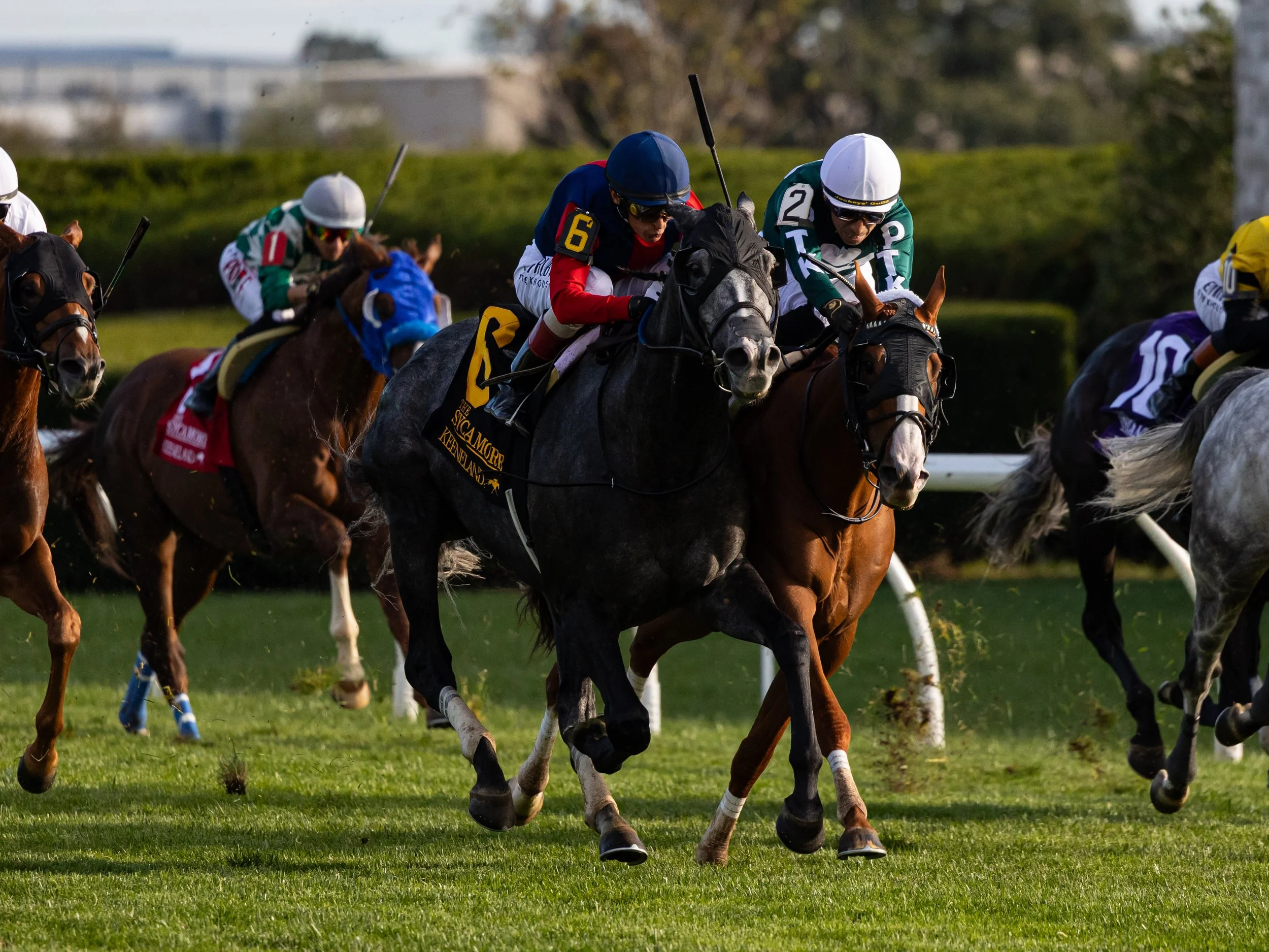 Desvio - Finish 02.jpg