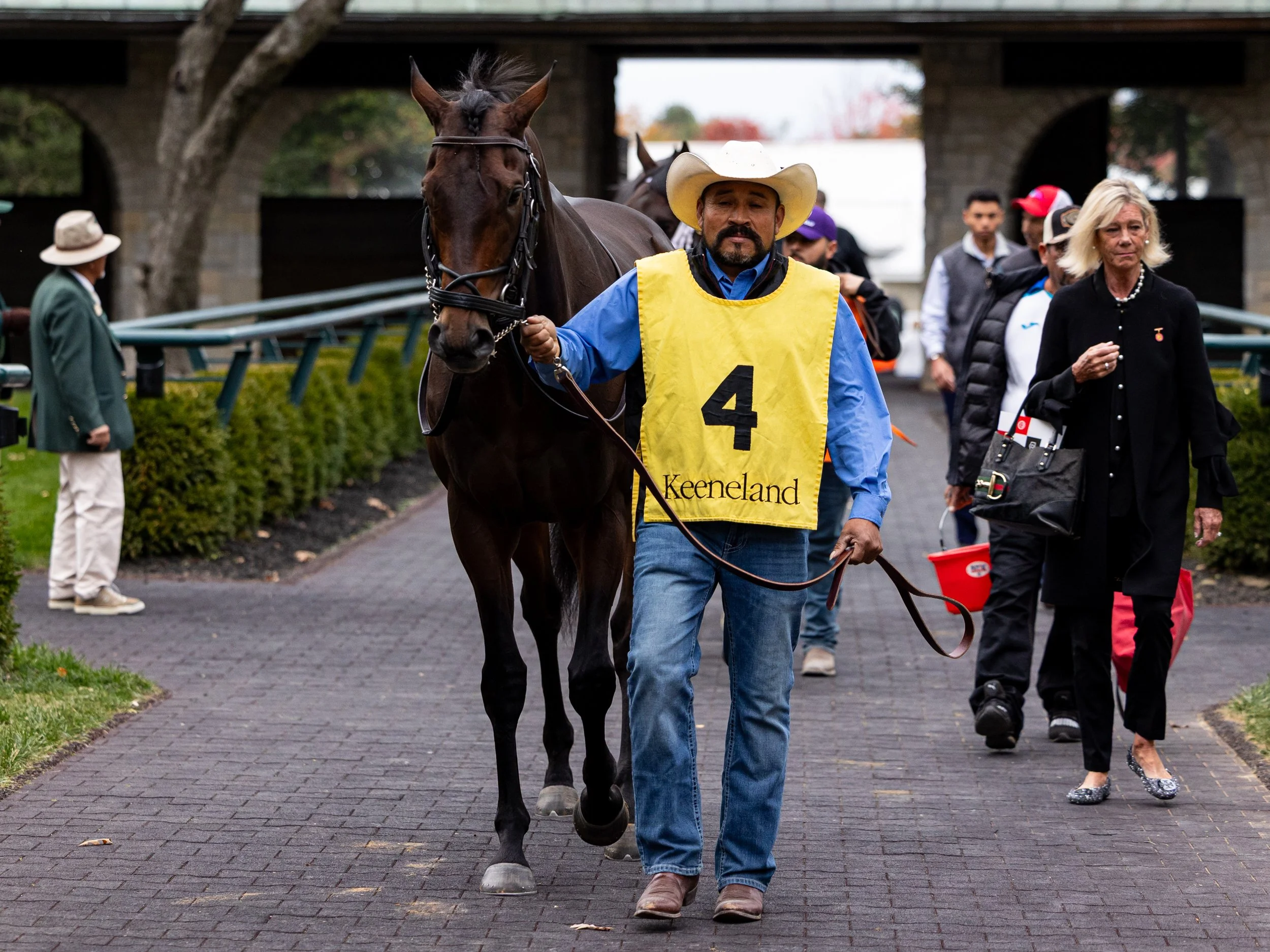 Troubleshooting - Paddock 01.jpg