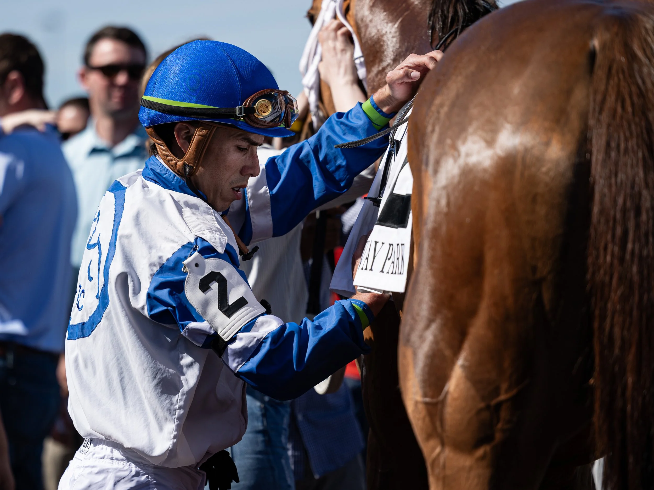 Styliish Sue - Winners Circle 01.jpg