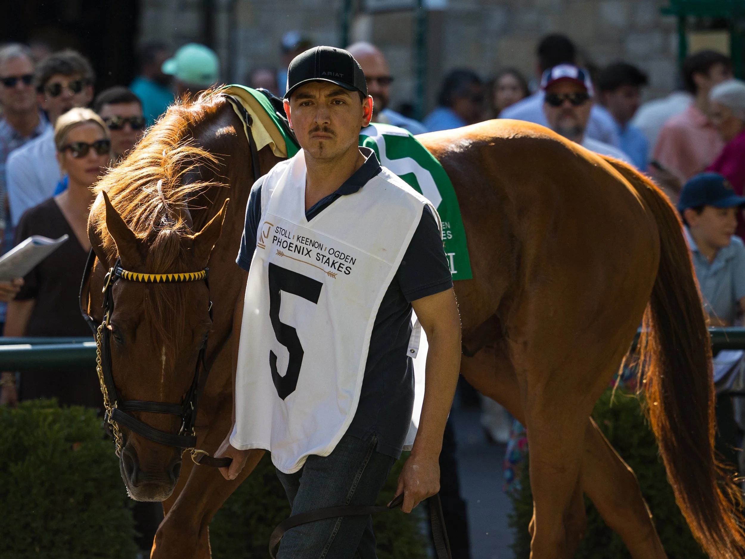 Nakatomi - Paddock 01.jpg