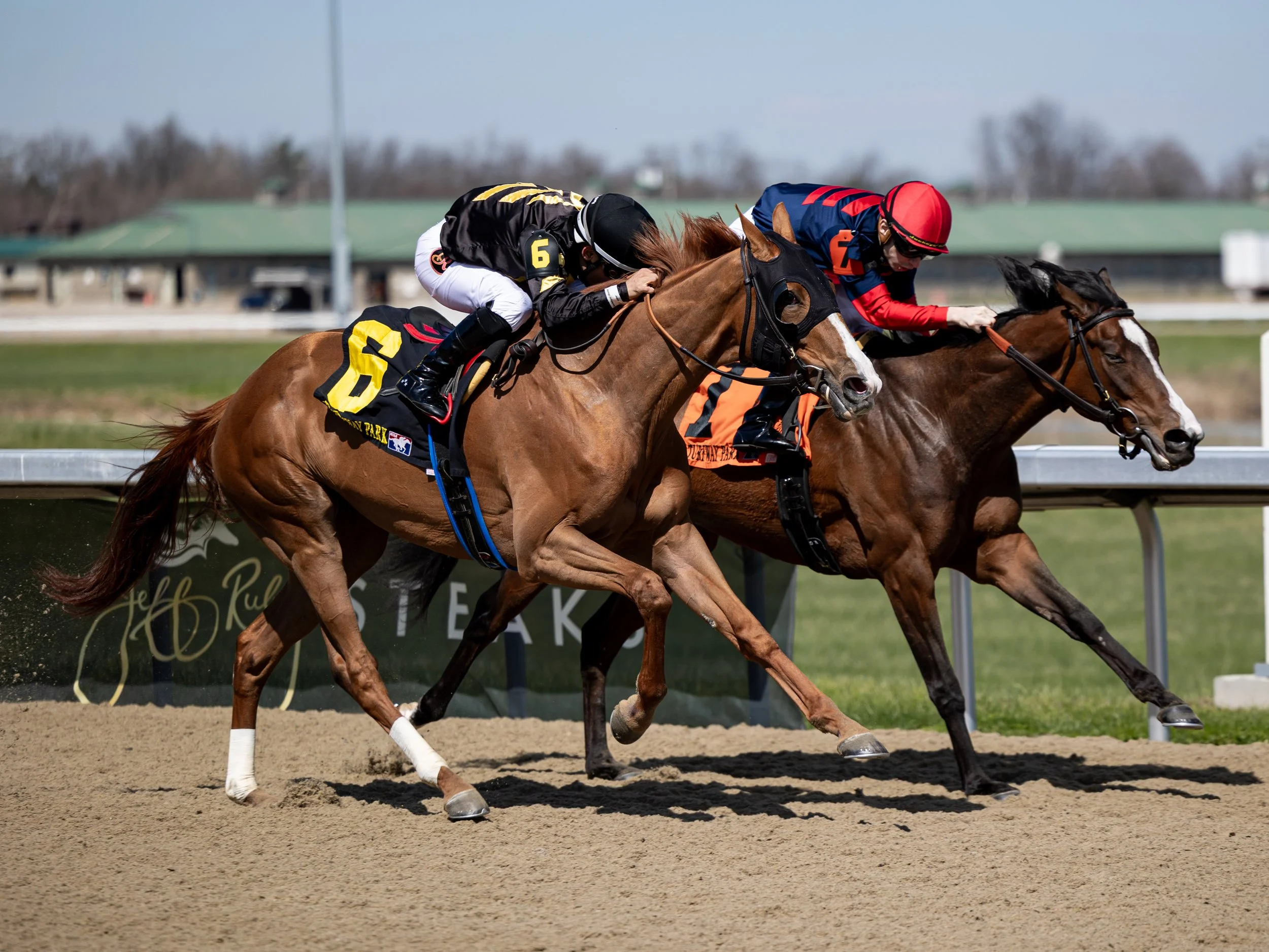 Calamity - Finish 05.jpg