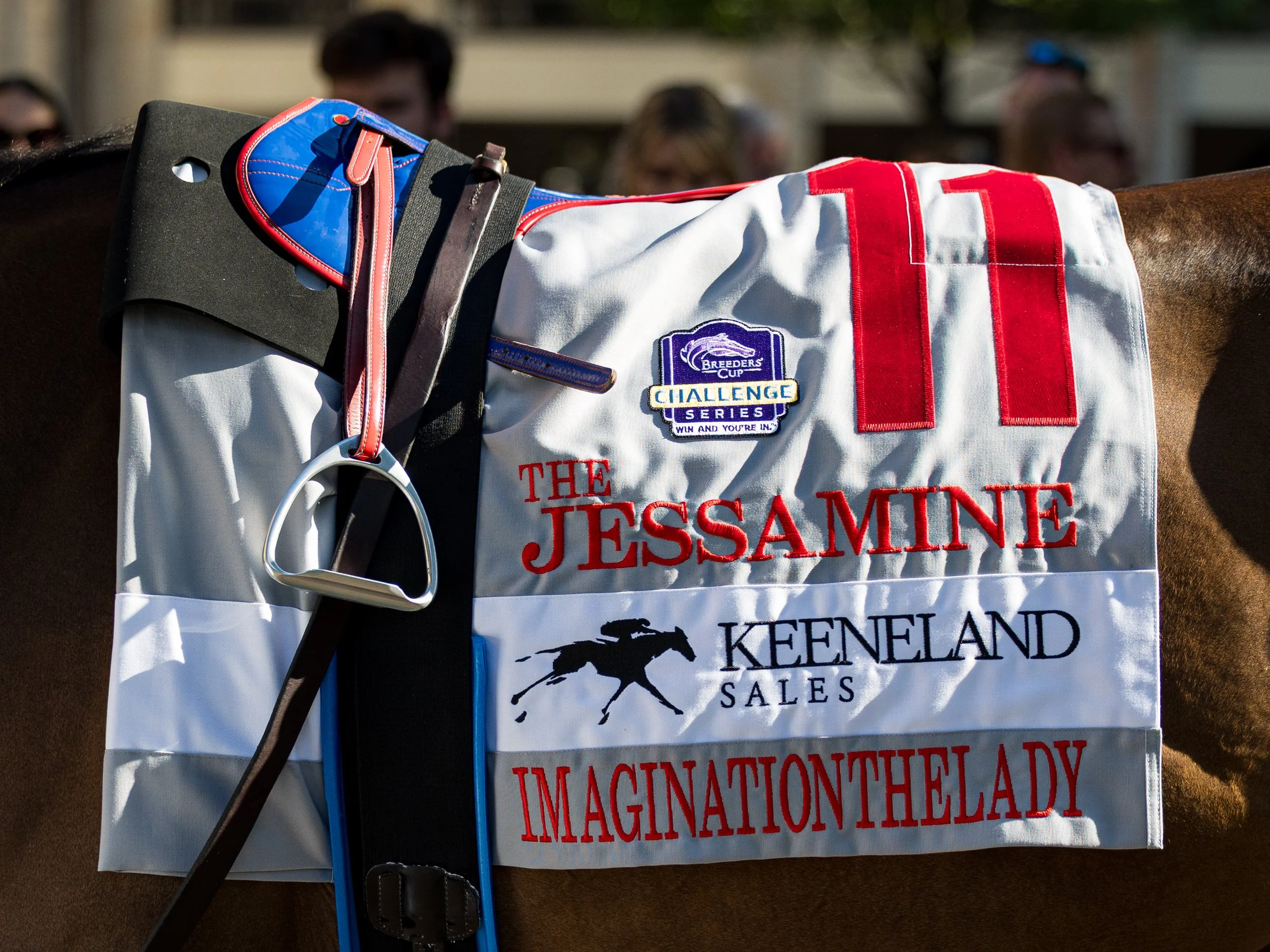 Imaginationthelady - Saddle Towel 01.jpg