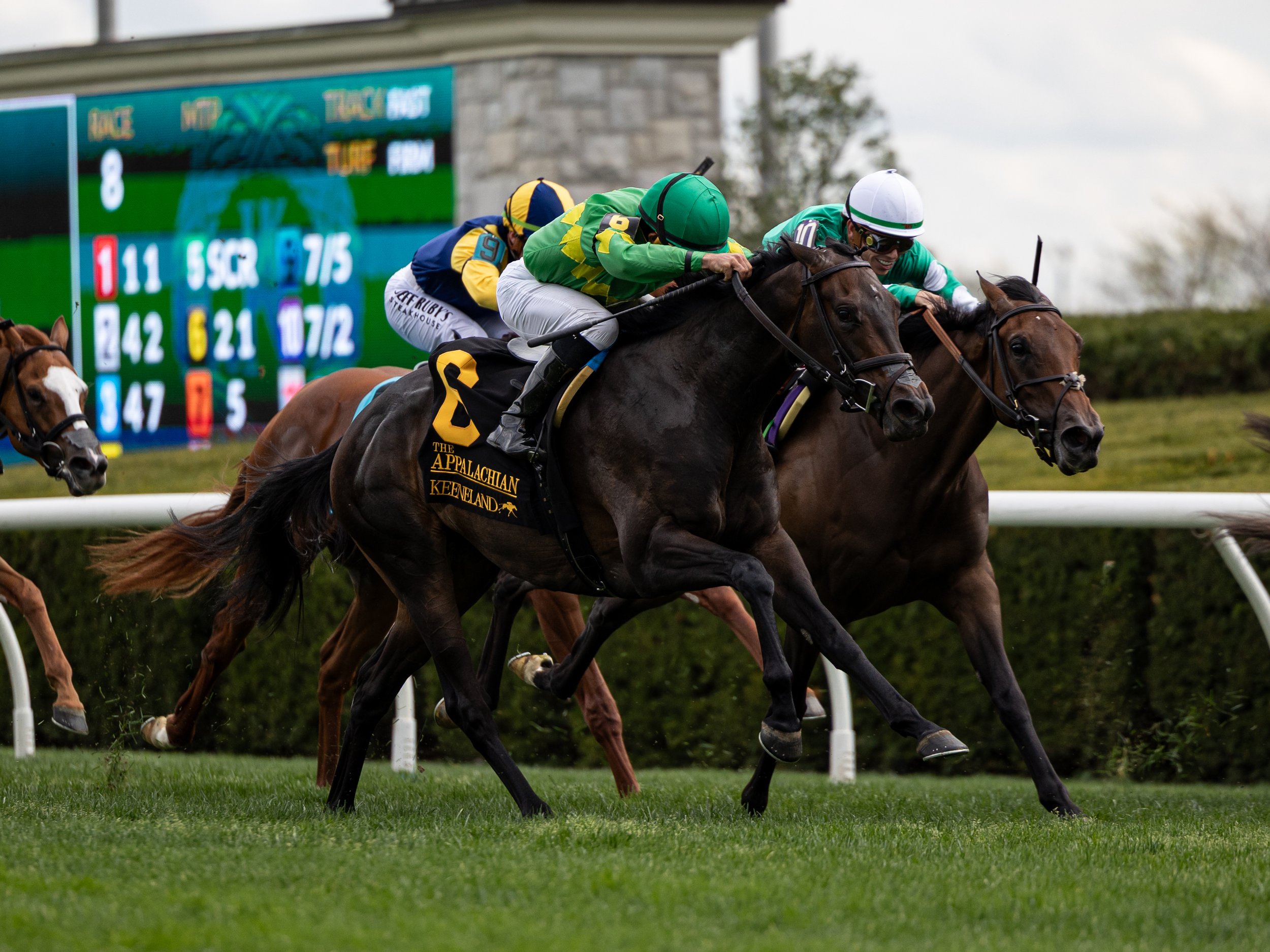 Storm's Wake - Finish 03.jpg