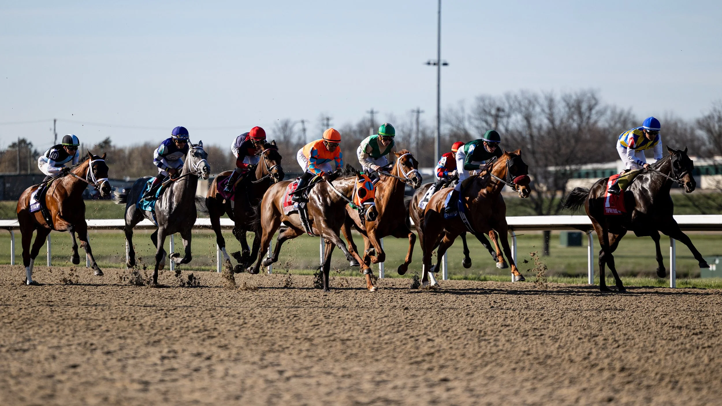 Lorelei Lee - First Pass 01.jpg