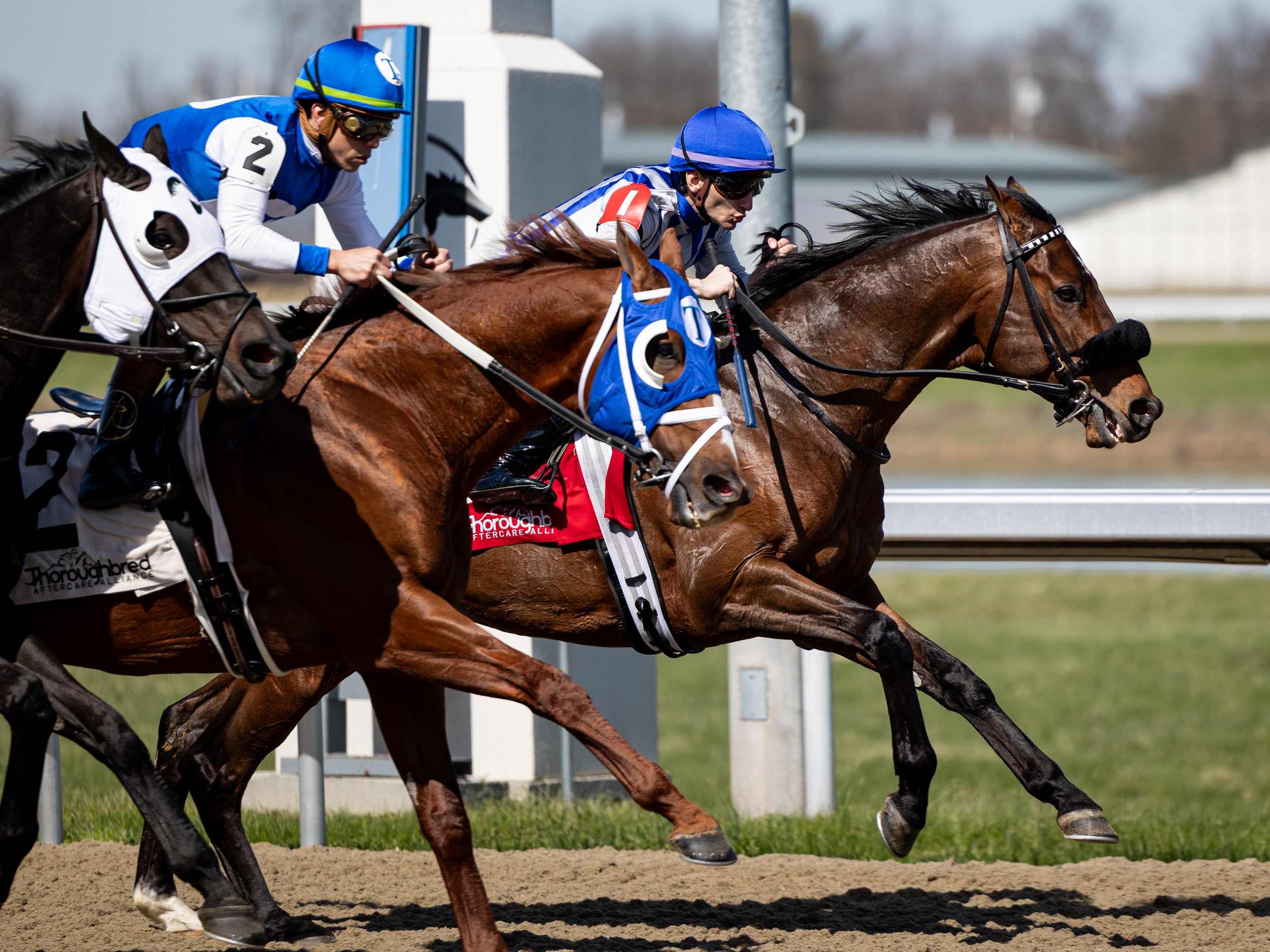 King Size - First Pass 03.jpg