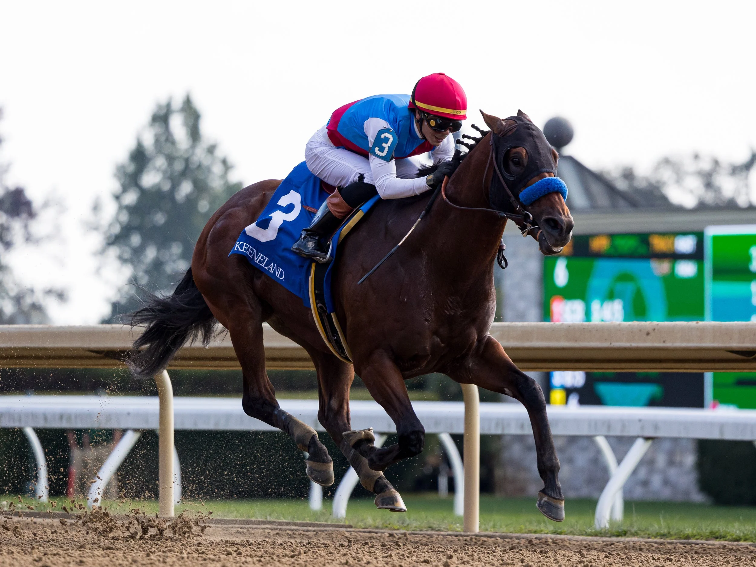 Barnes - Finish 02.jpg