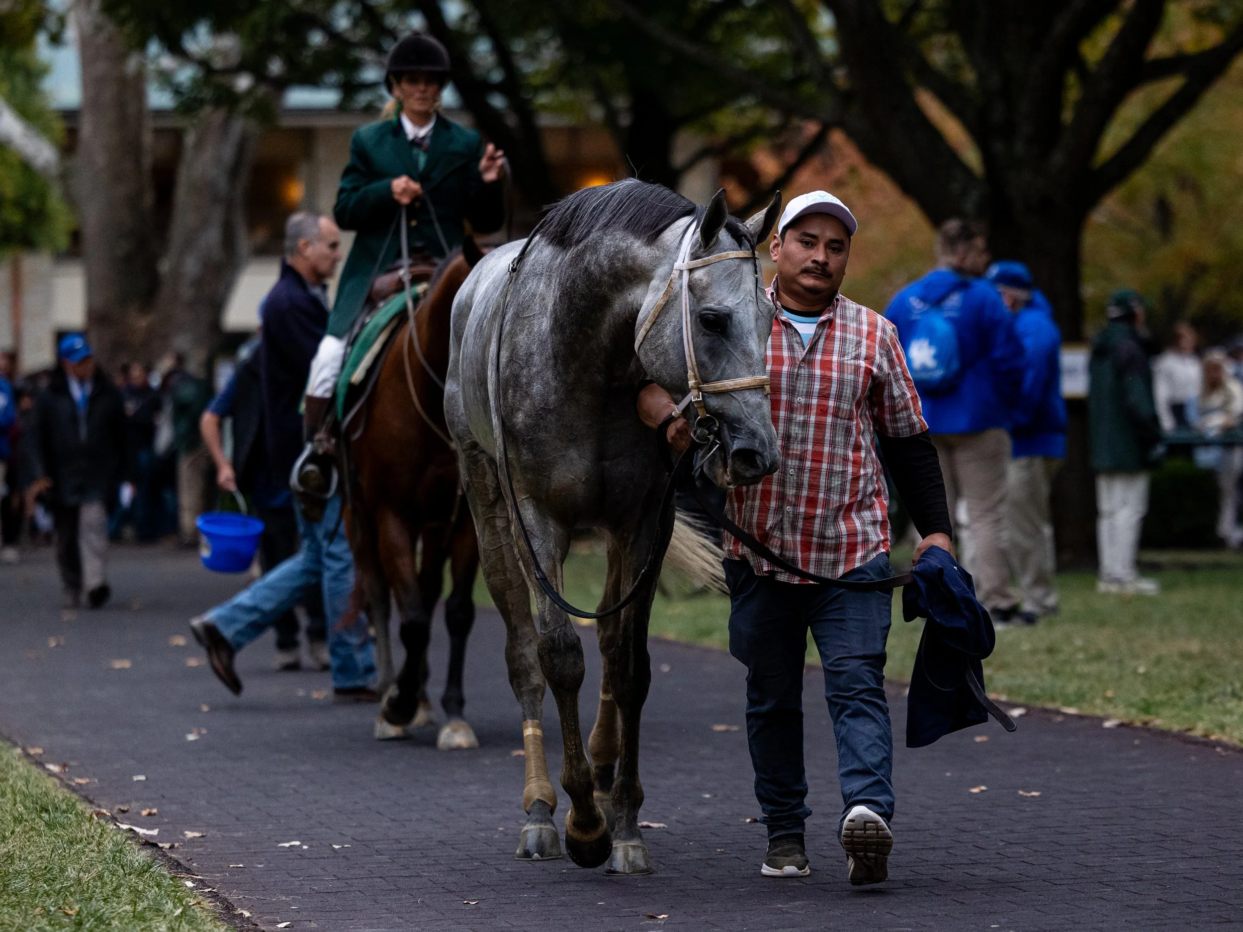 Hit Show - Winners Circle 04.jpg