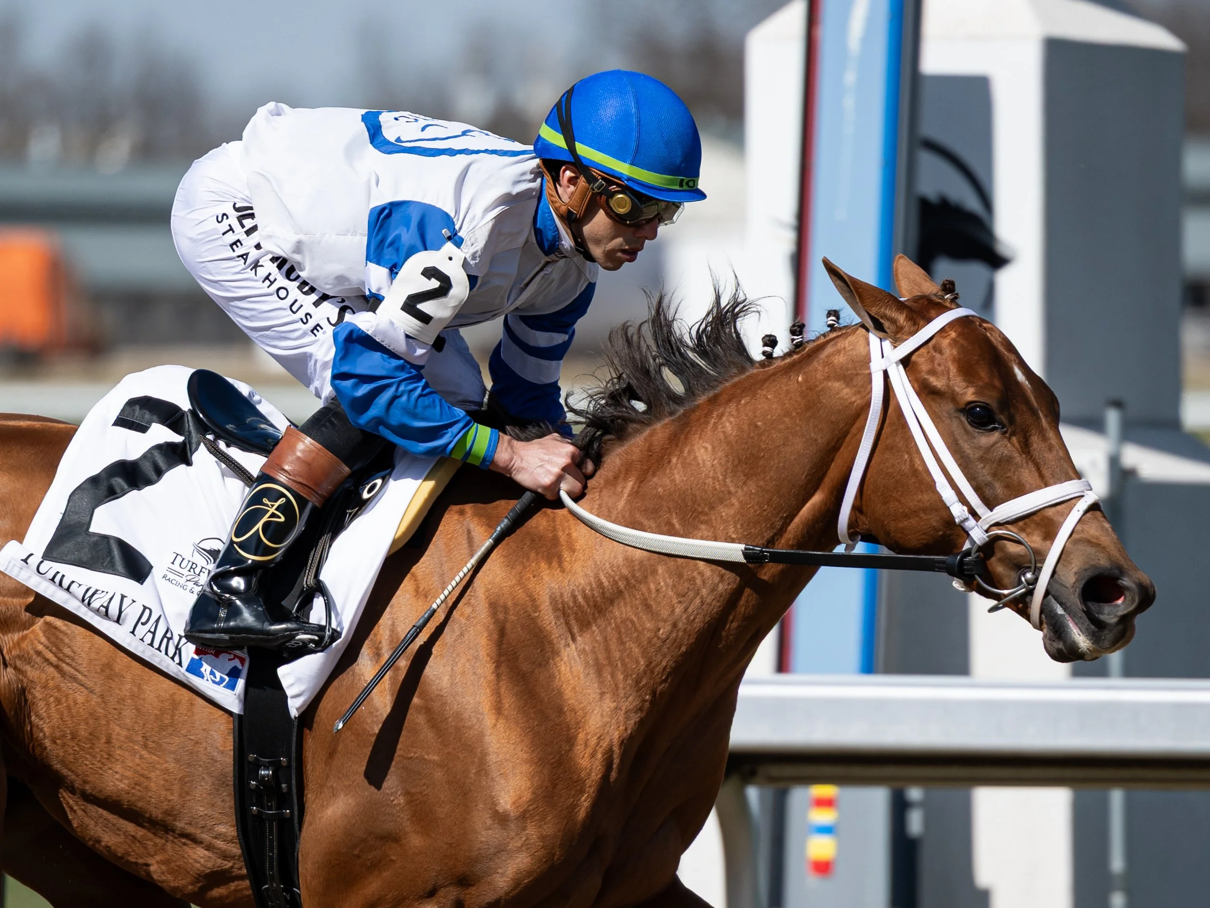 Styliish Sue - First Pass 02.jpg