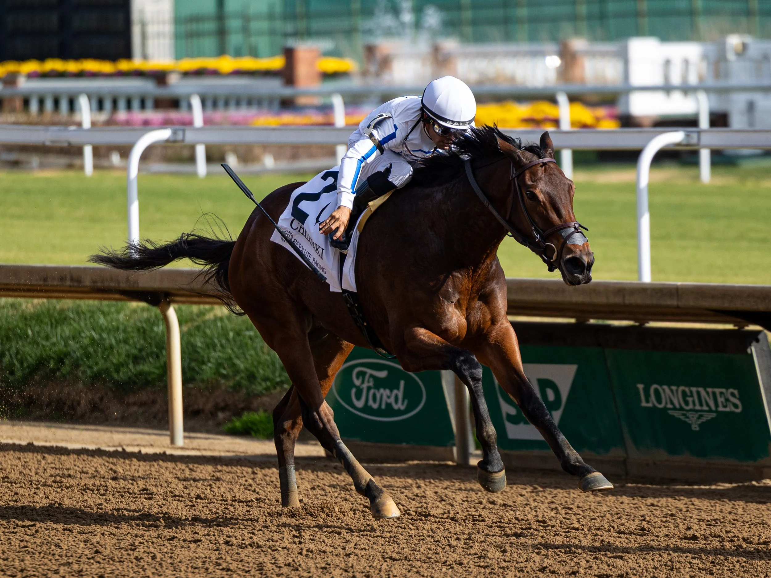 Shred the Gnar - Finish 02.jpg