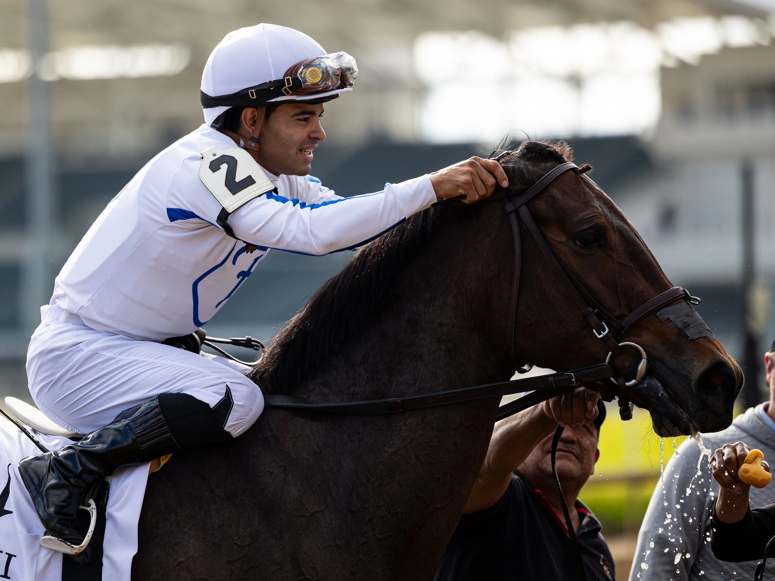 Shred the Gnar - Post Race 03.jpg