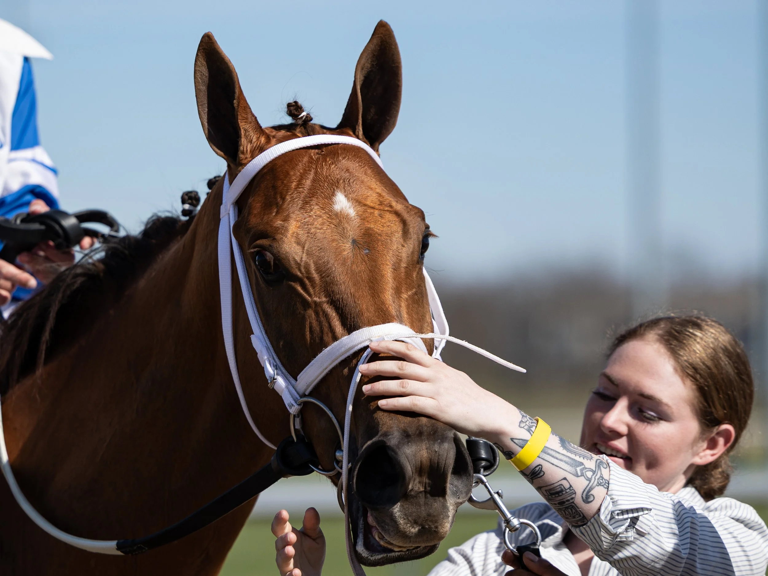 Styliish Sue - Come Back 03.jpg