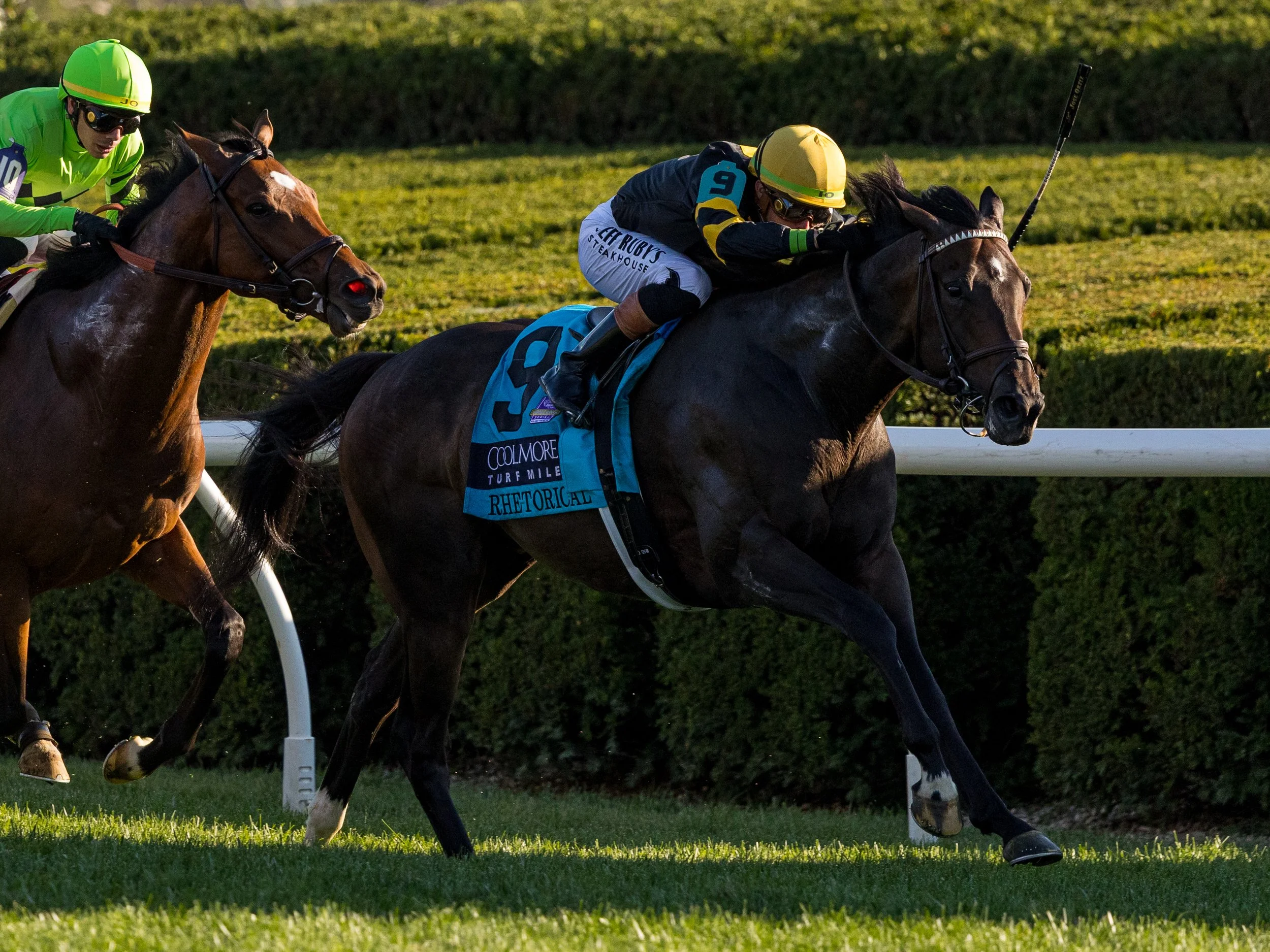 Rhetorical - Race 01.jpg